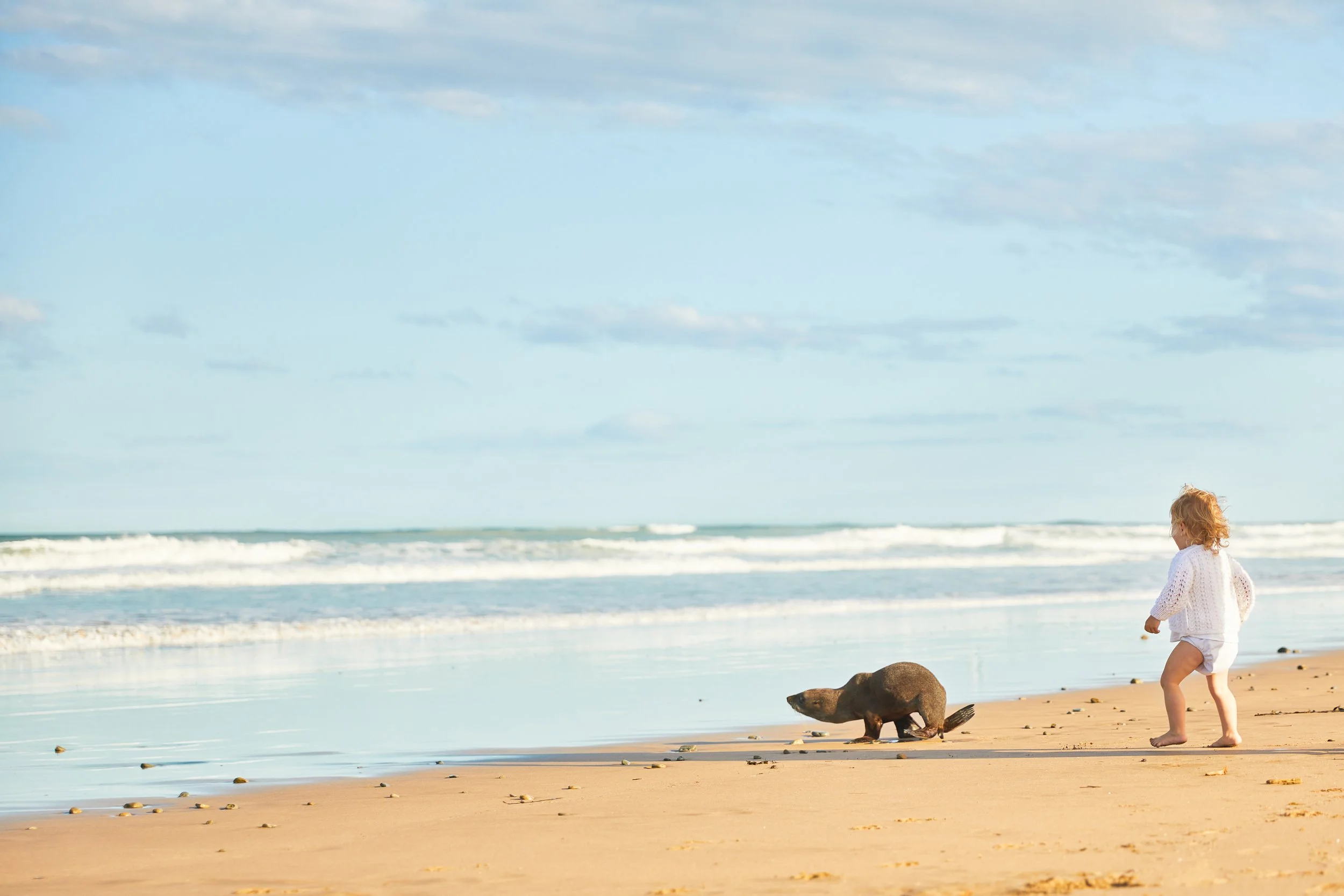 A baby wearing a white outfit is standing on a sandy beach, watching a small seal moving on the sand near the ocean waves under a blue sky.