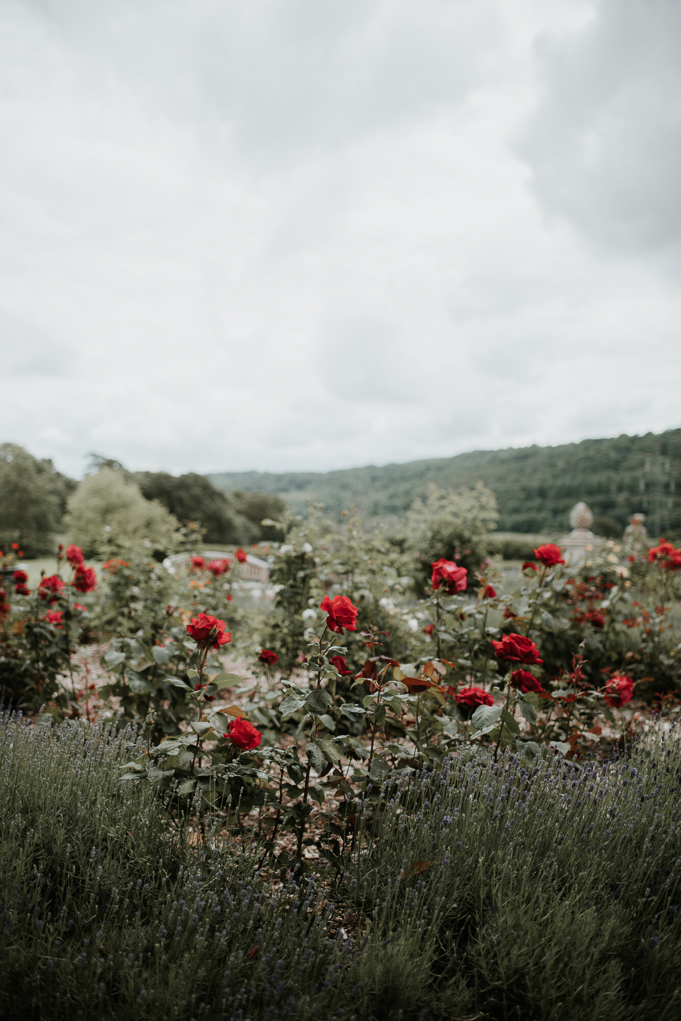 Pynes House, Exeter // Elegant luxury wedding photography in Devon