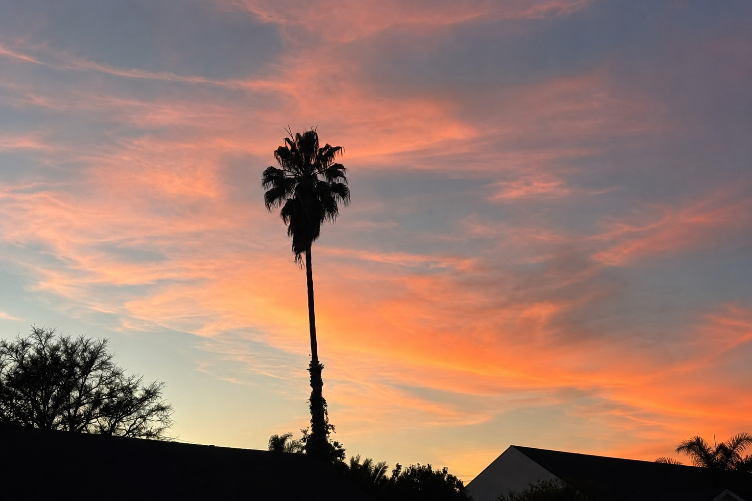 Virtual therapy in Sawtelle, CA, helping adults and couples navigate anxiety, relationship patterns, trauma, perfectionism, and personal growth from the comfort of home.