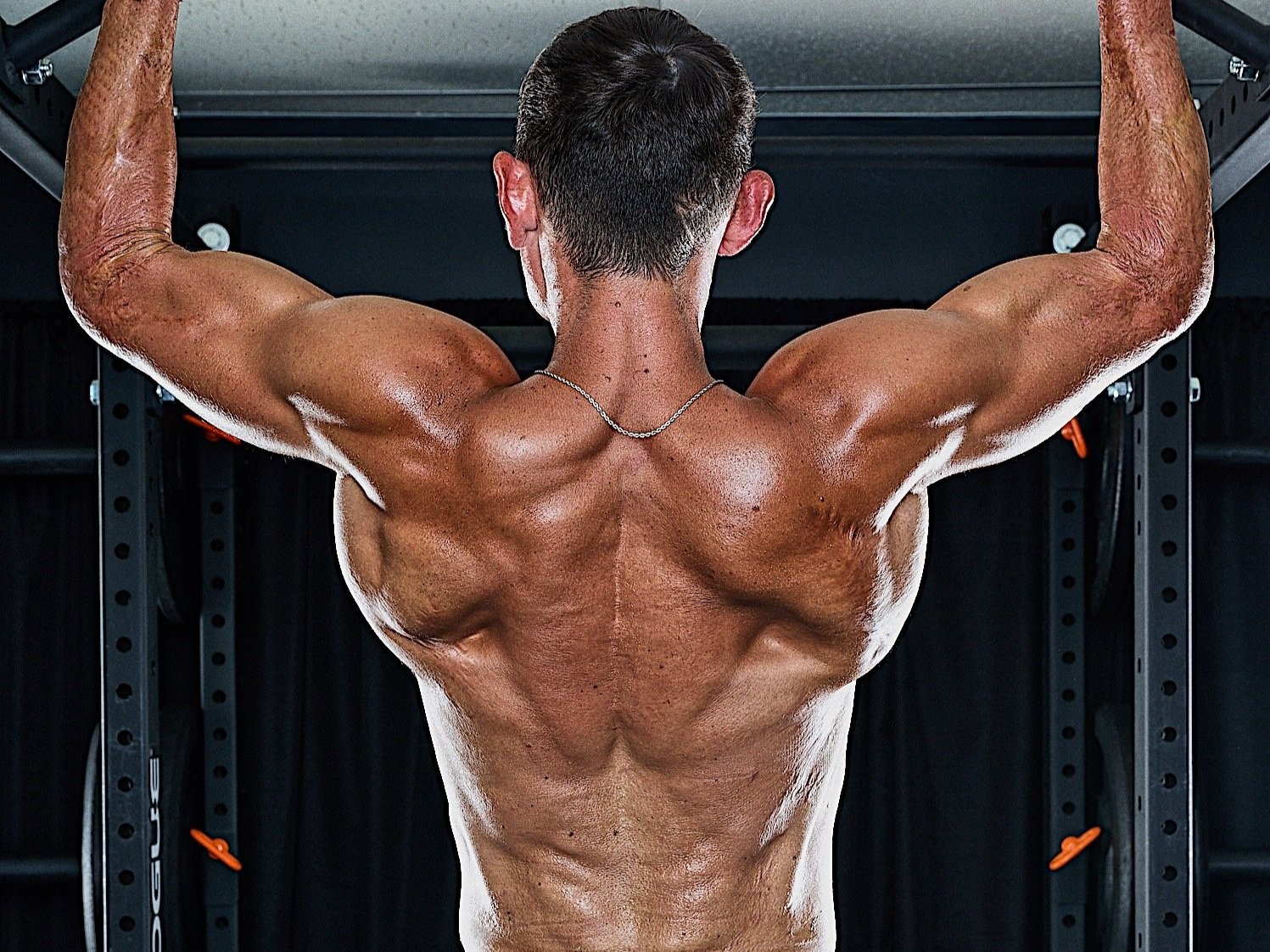 8 week Bulking Nutrition Plan