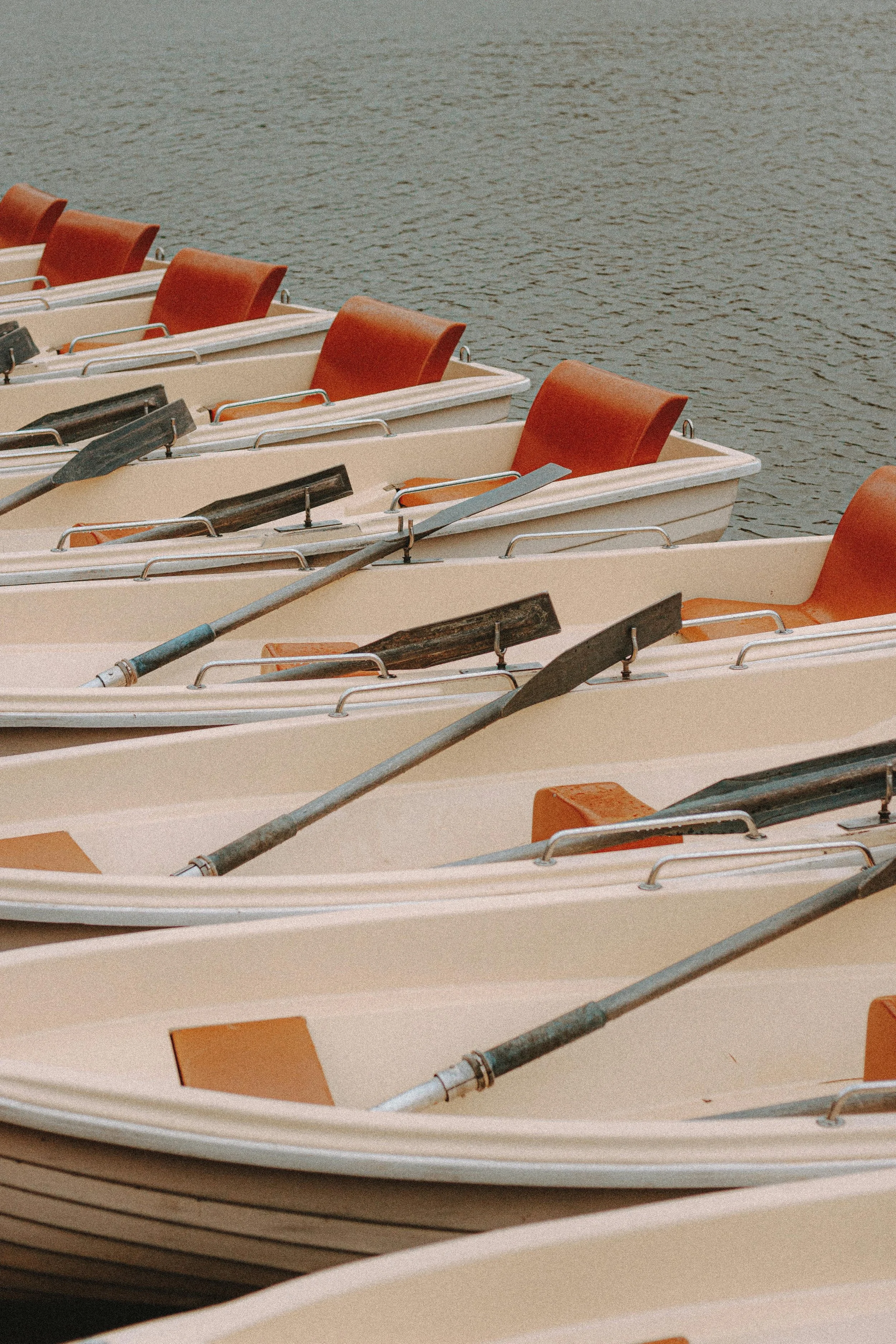 Row of boats with orange seats and black oars docked on water.