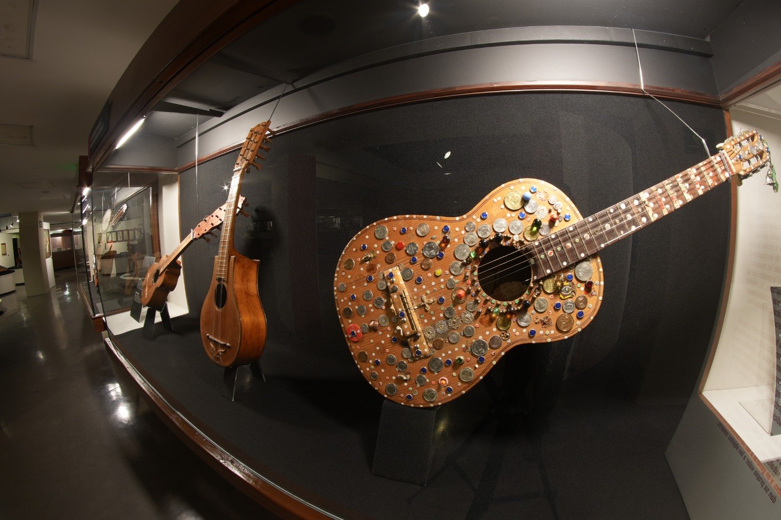 WhatsApp Image 2024-07-31 at 2.08.16 PM.jpeg