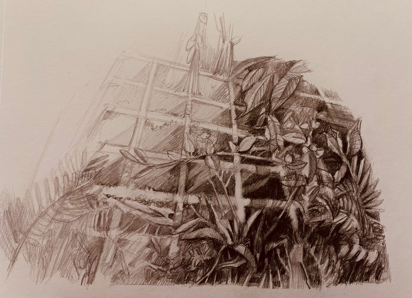 BOCETO 1.jpeg