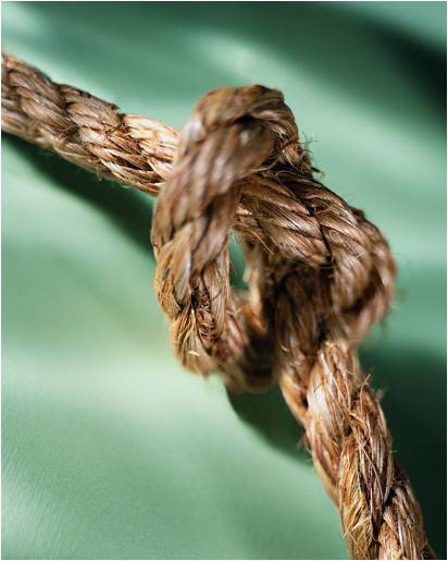 What Yoga Teachers Can Teach Leaders About Untangling
