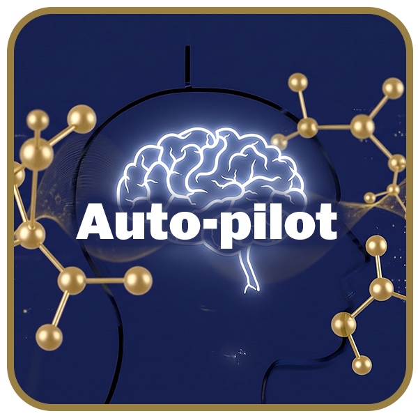 Auto-pilot Video link