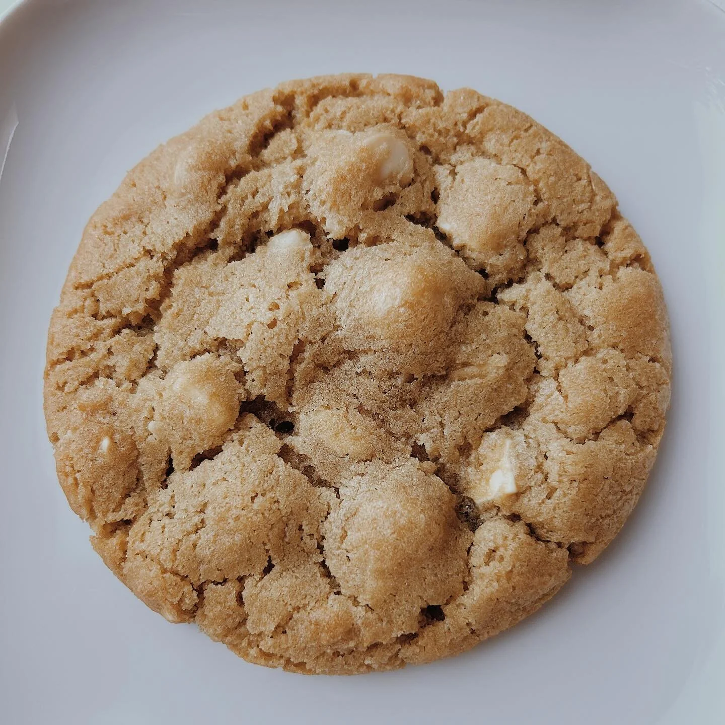 It's not always about looks. Don't let this cutie fool you. Taste and quality is where we thrive. No fancy frostings, sprinkles or candies here. Just another simple and clean classic that tastes ridiculously amazing.
White Chocolate Macadamia 🤍 
Ava