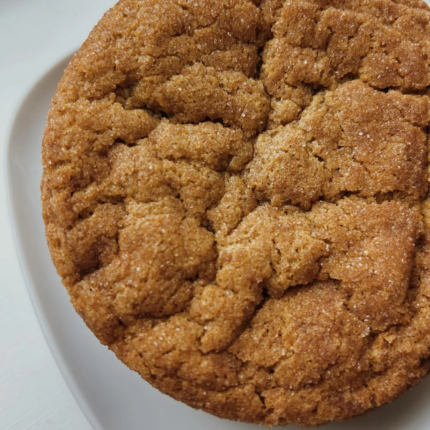 Oh. My. Gawd. For real. 🤤
Pumpkin Snickerdoodle!!!
Yep. Do I need to say it again?! 🎃🍂
It's on and should be ready for you this weekend. ✨

Also organic pumpkin, organic unbleached flour, just errrythang organic like we do and dusted in cinnamon s