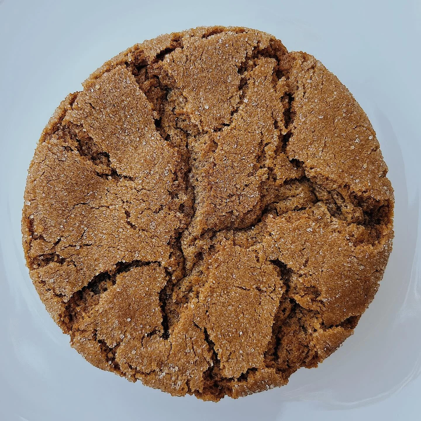 Ginger Molasses. 🖤

Perfectly chewy, soft and arriving just in time for fall. 

Coming very soon... 🤩