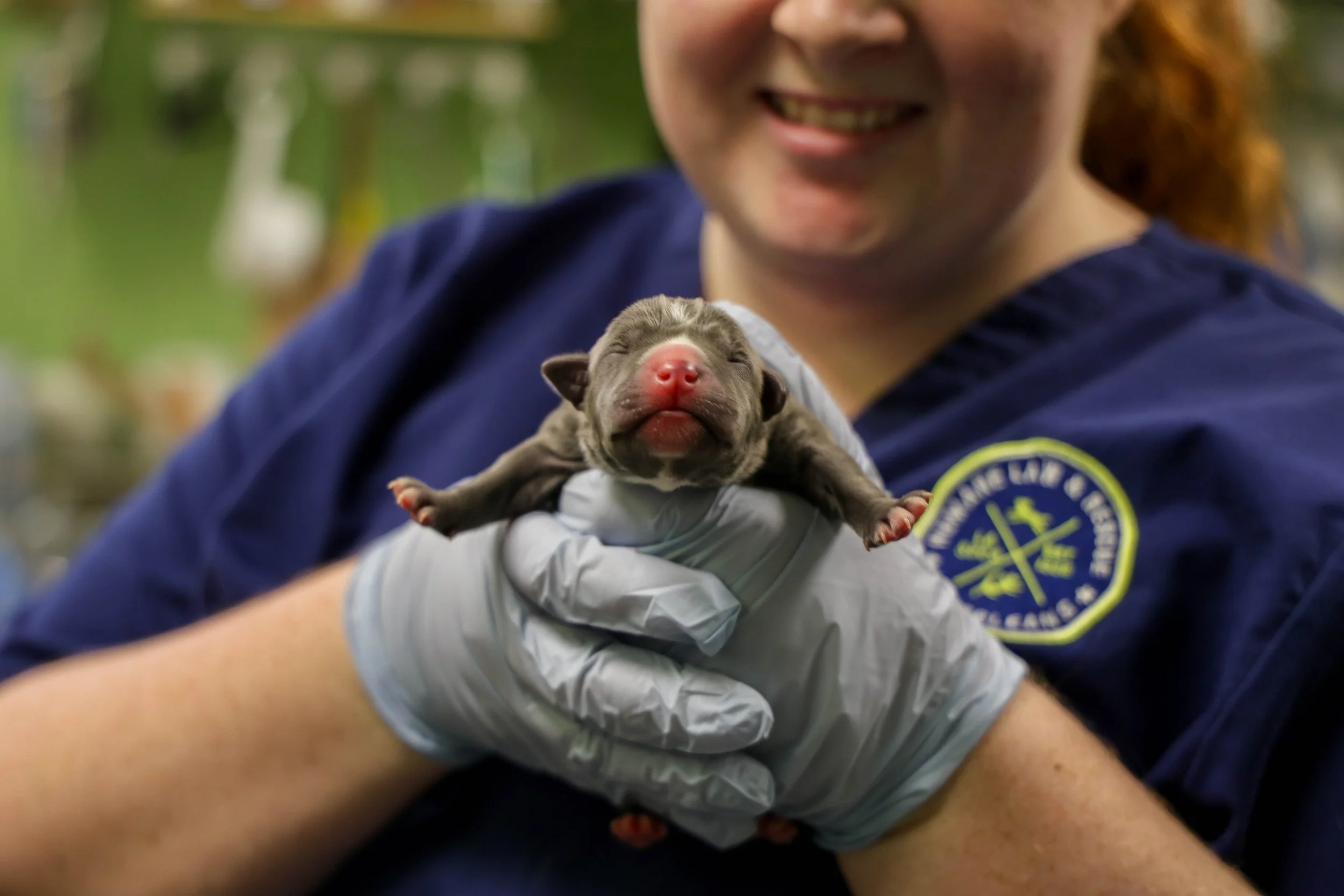 LOUISIANA SPCA