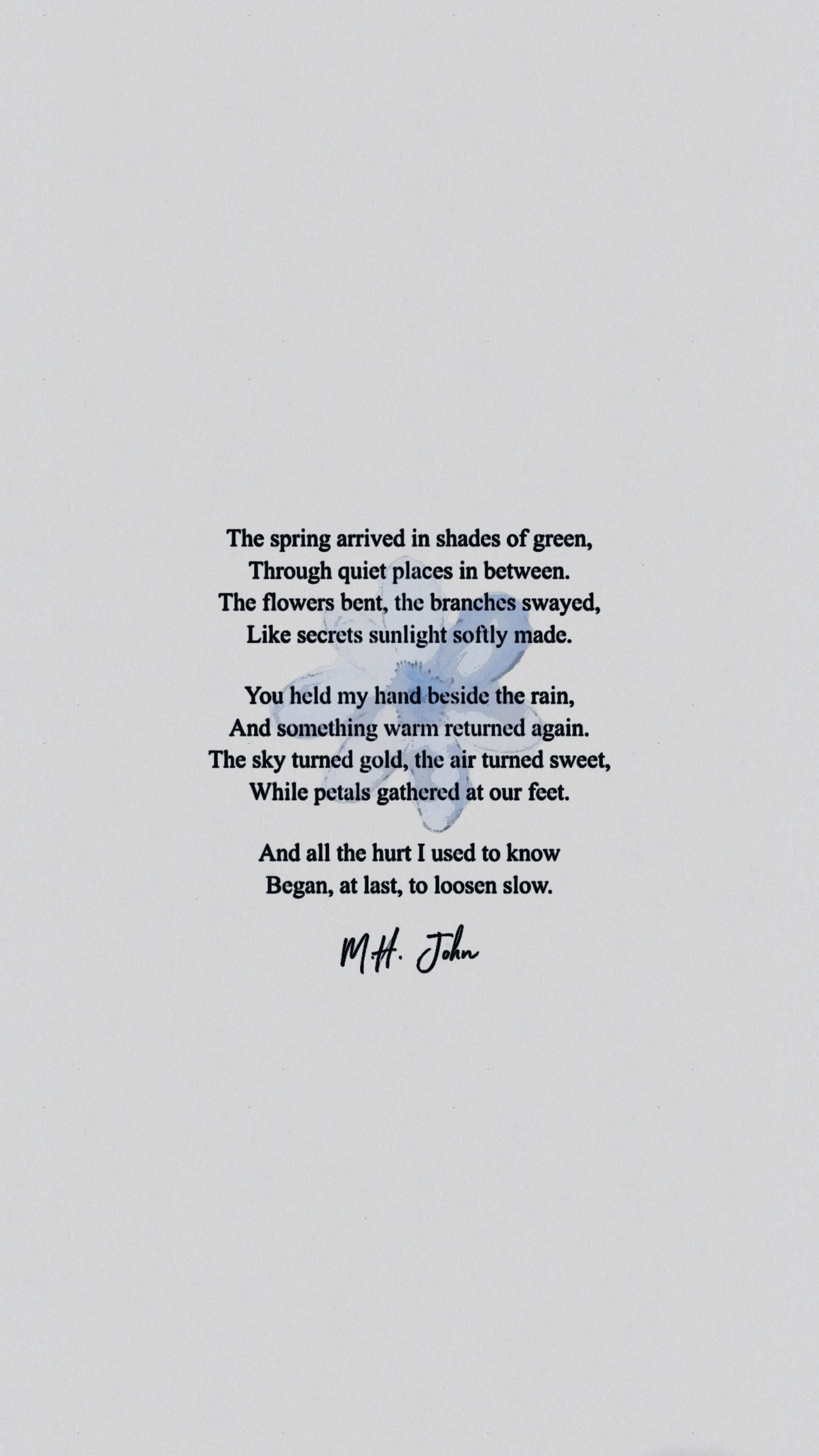 Petals at Our Feet