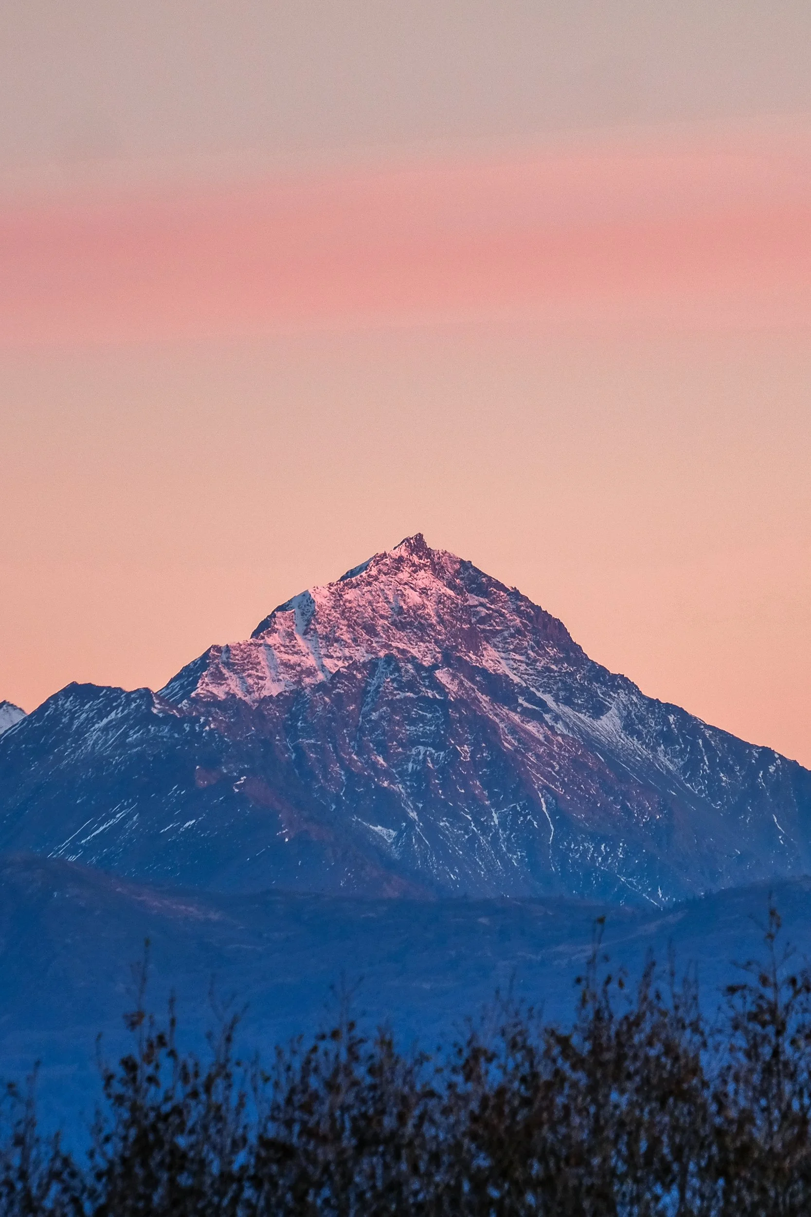 Sadie+Alpenglow?format=2500w