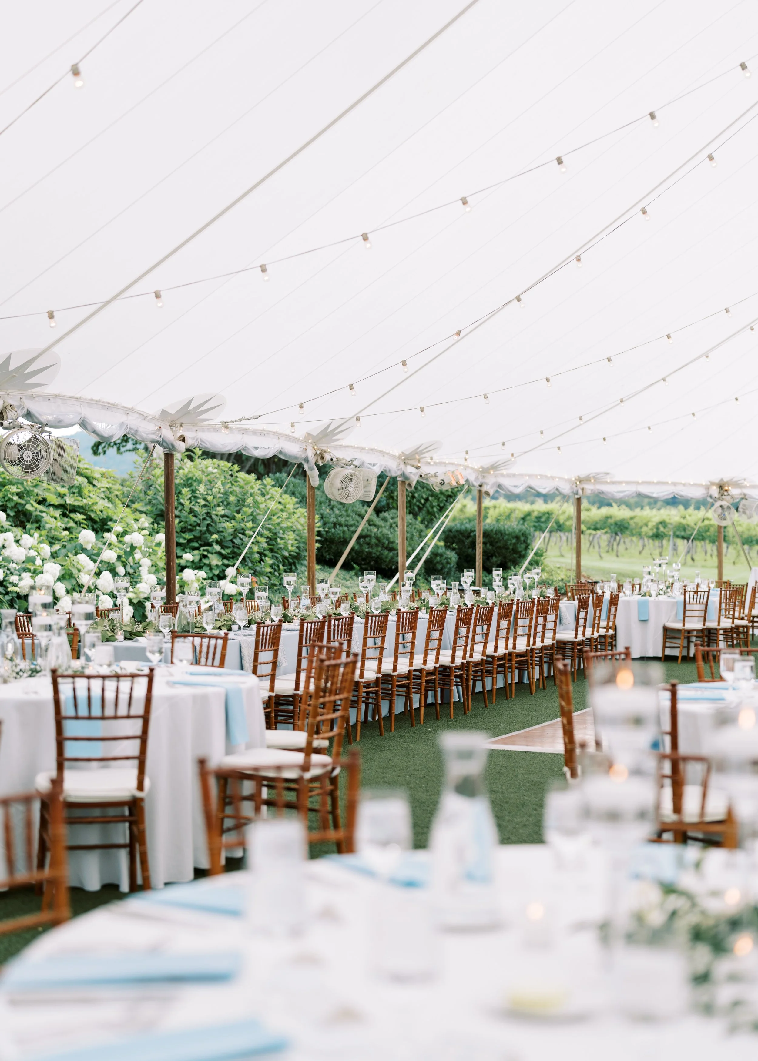 Keswick Vineyards Virginia Fine Art Wedding Photographer Natalie Jayne Photography-DSC02991-2.jpg