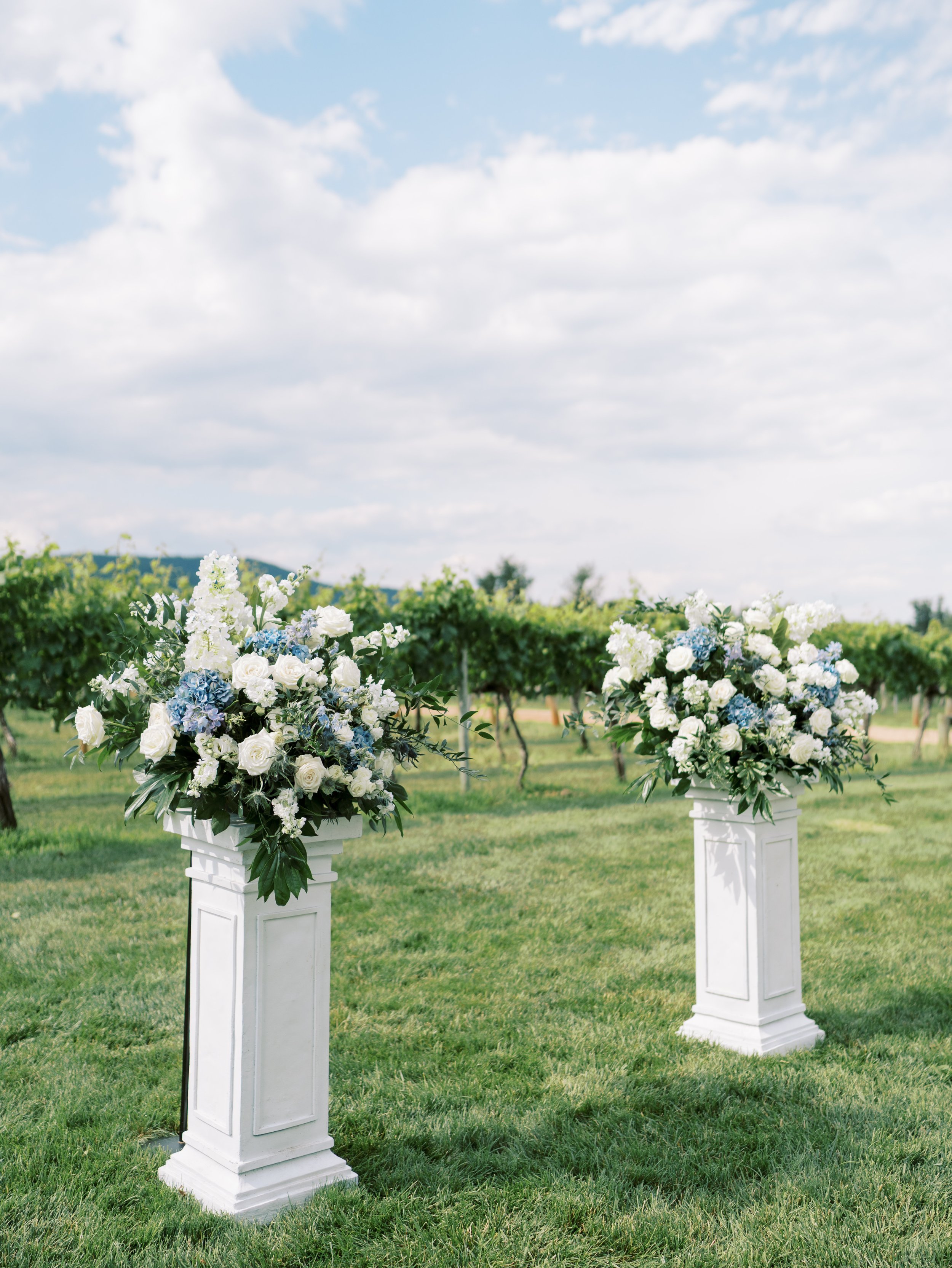 Keswick Vineyards Virginia Fine Art Wedding Photographer Natalie Jayne Photography-DSC03012_1.jpg