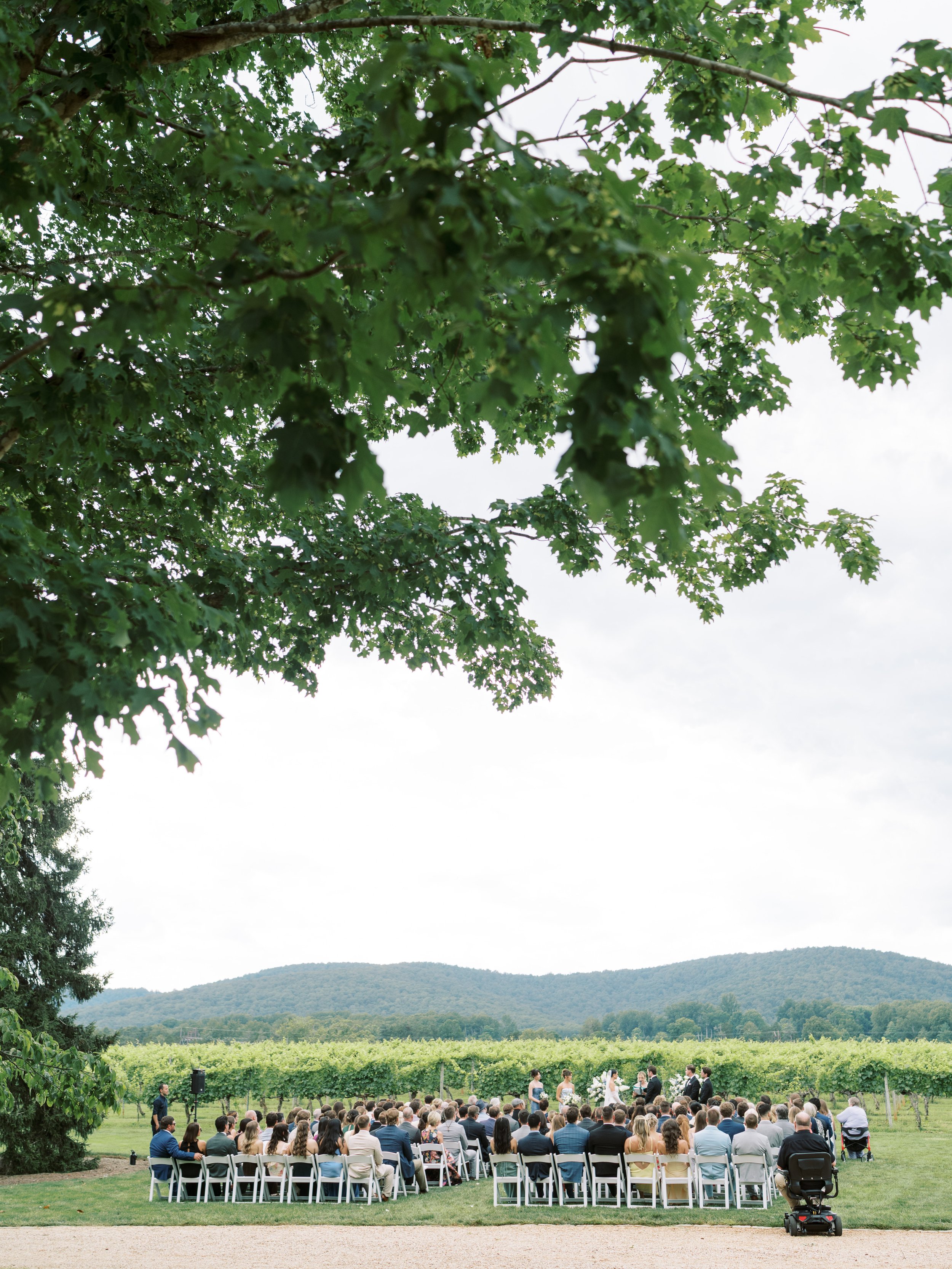 Keswick Vineyards Virginia Fine Art Wedding Photographer Natalie Jayne Photography-DSC03141_1.jpg
