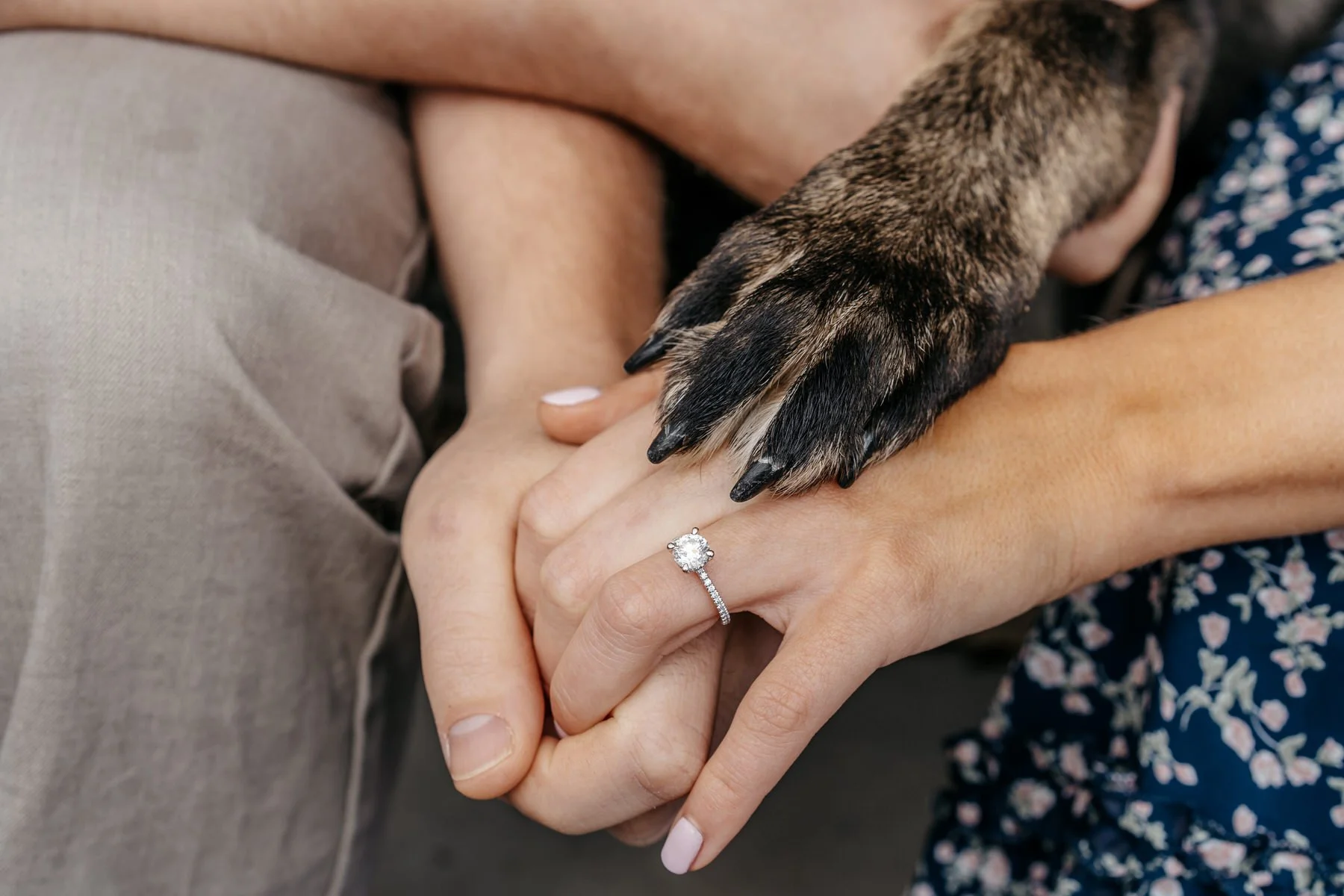 Jessica+Dan-1083.jpg
