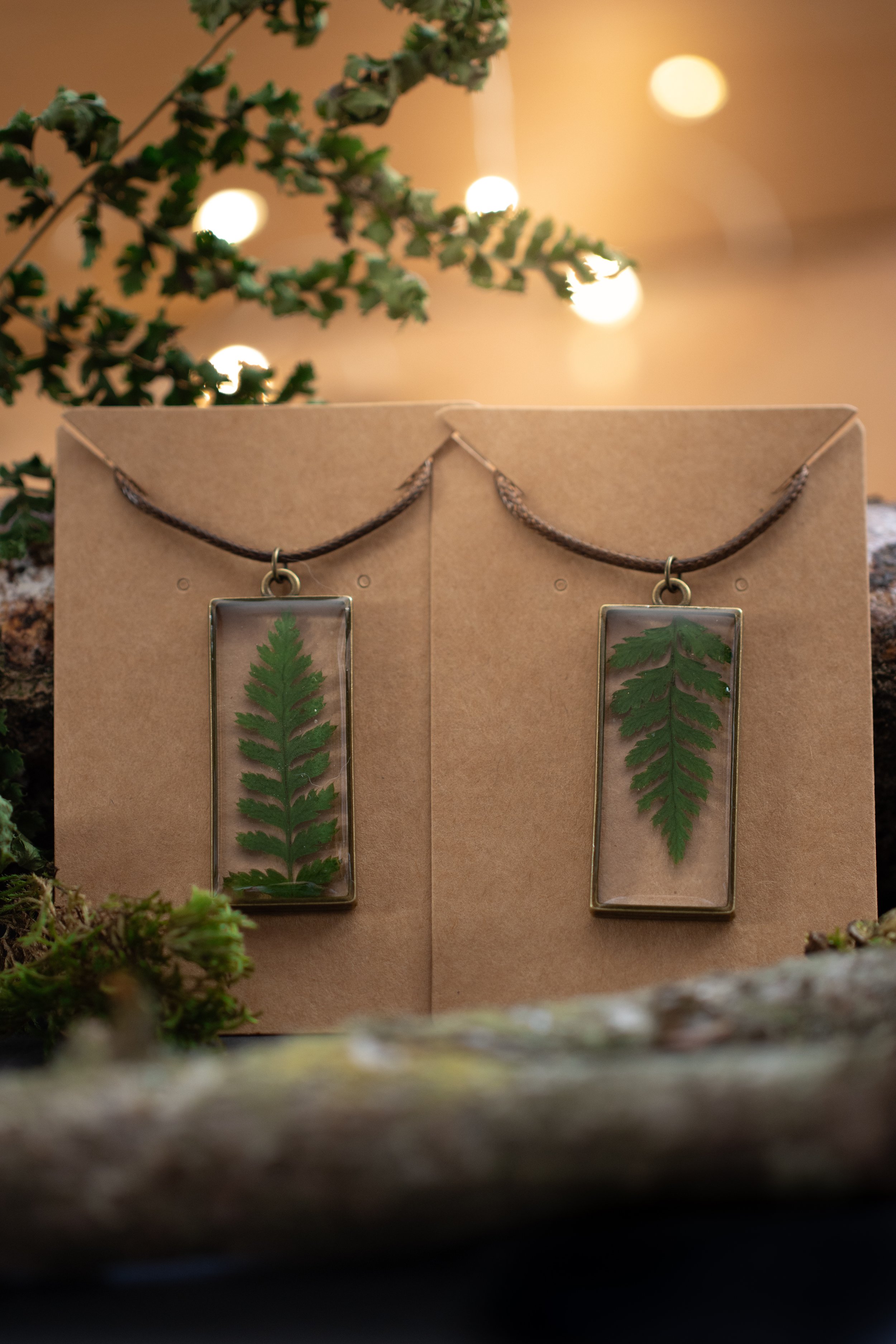 fern2.jpeg