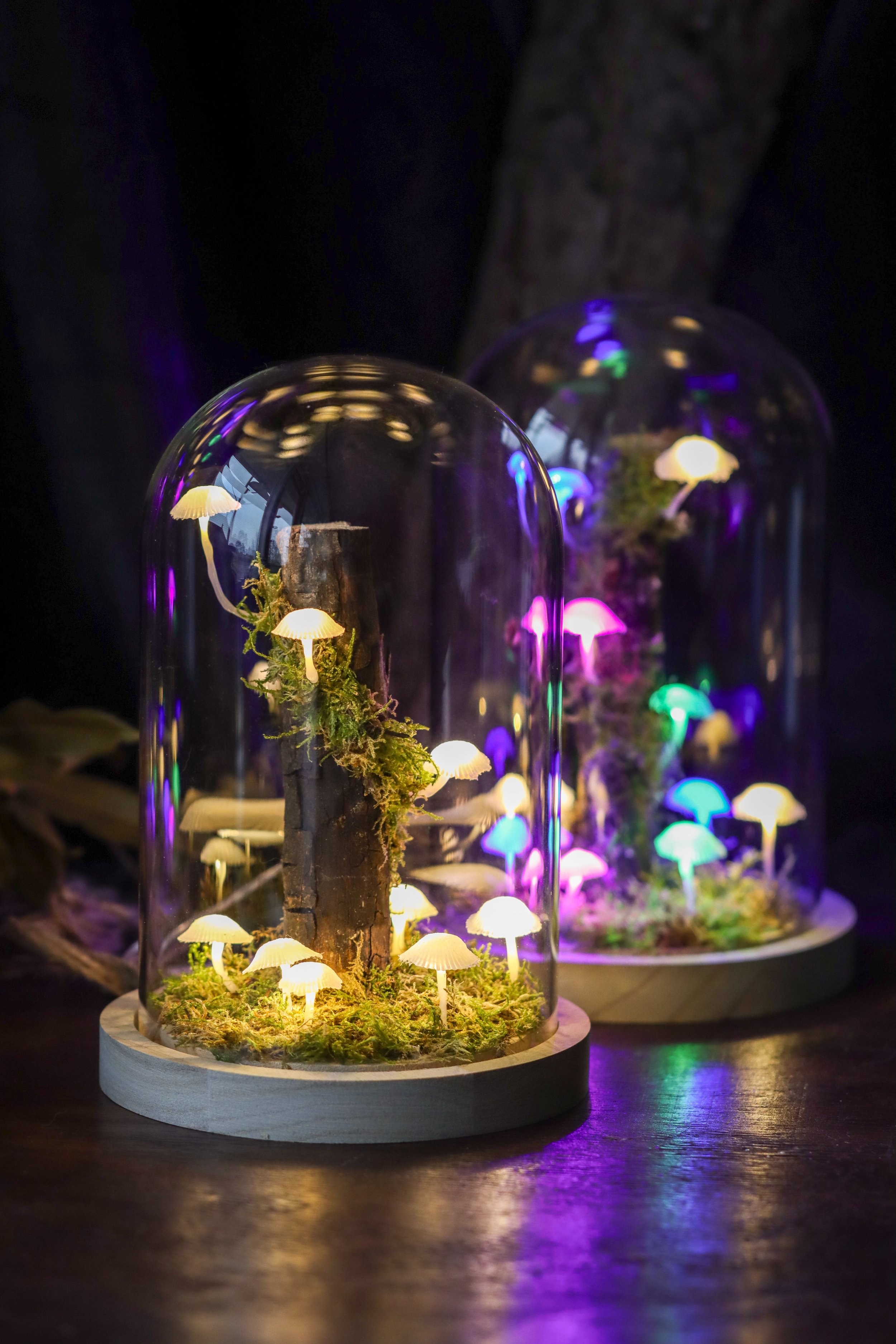 Magic Mushroom Lights