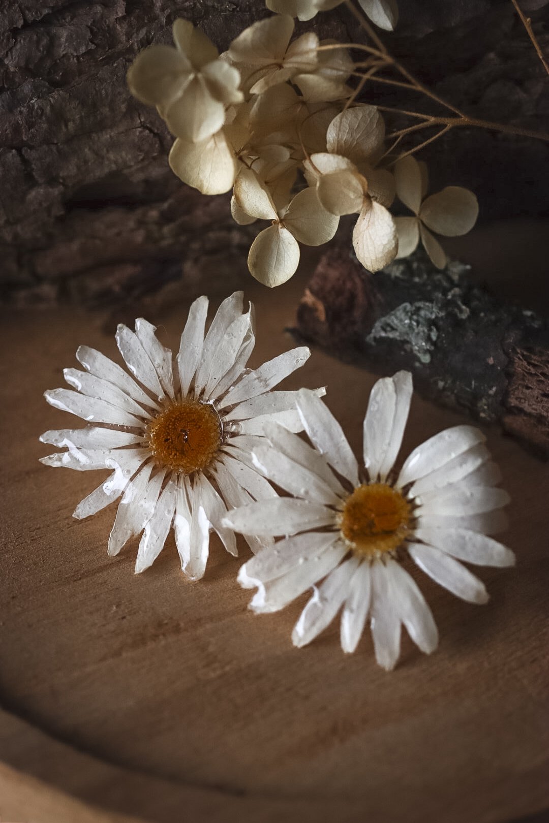 Daisy Earrings