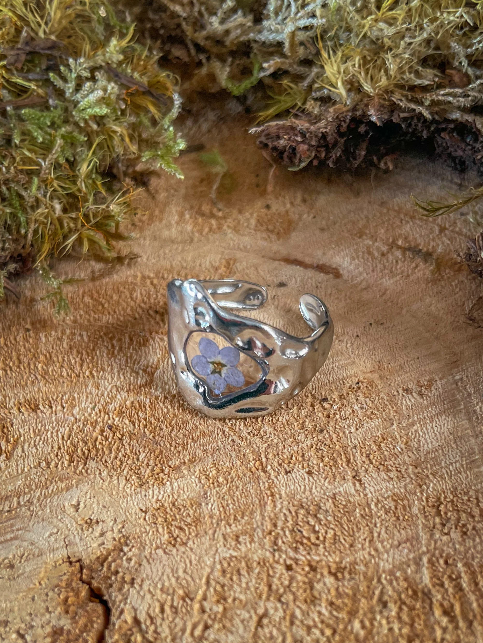 IMG_7311.jpeg
