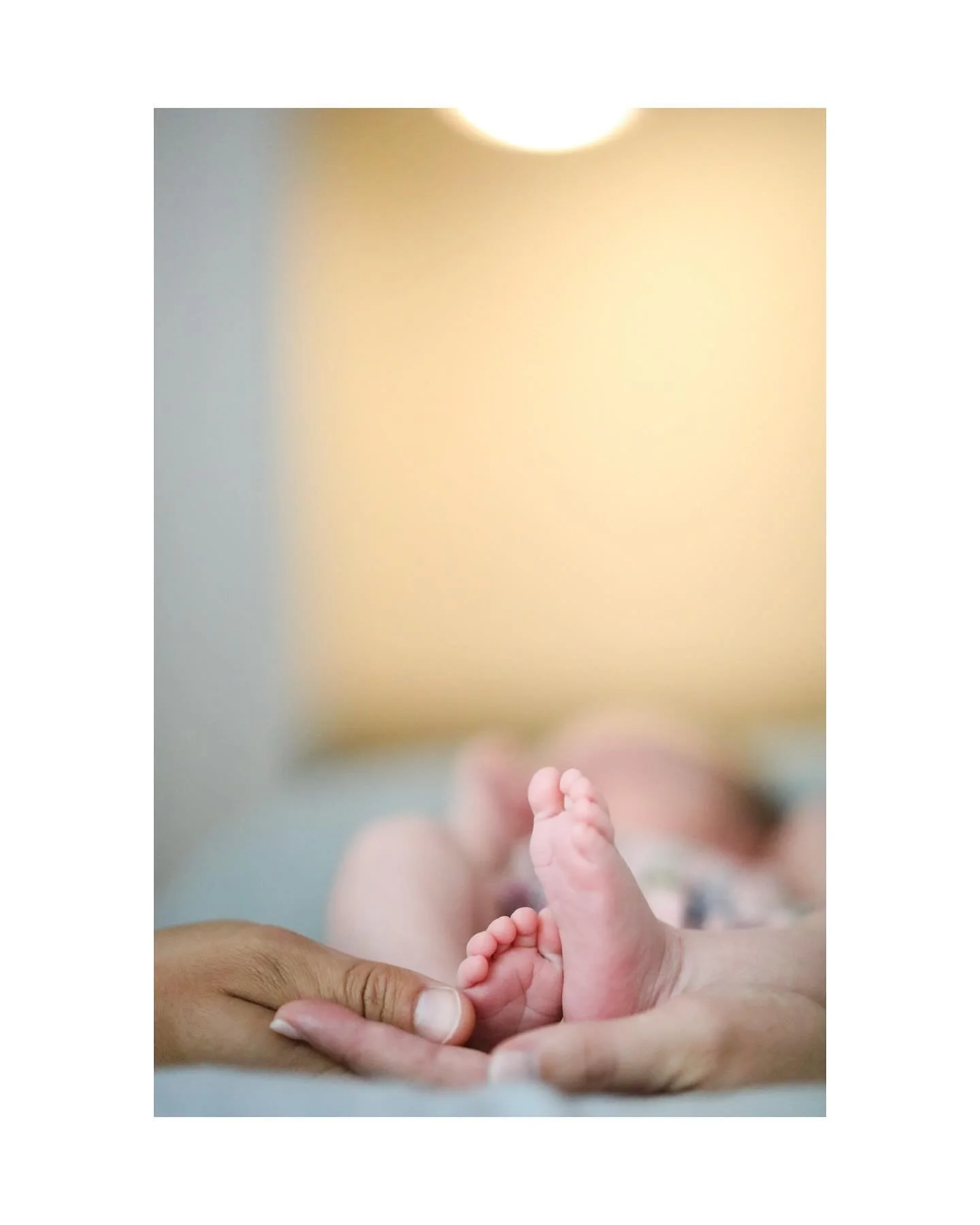 Ella Joy๐
•••
So grateful to continue photographing this sweet family as they grow! They welcomed the most perfect little addition and the tiny toes make me want to sob๐ฅน maybe it’s the pregnancy hormones or she’s just th