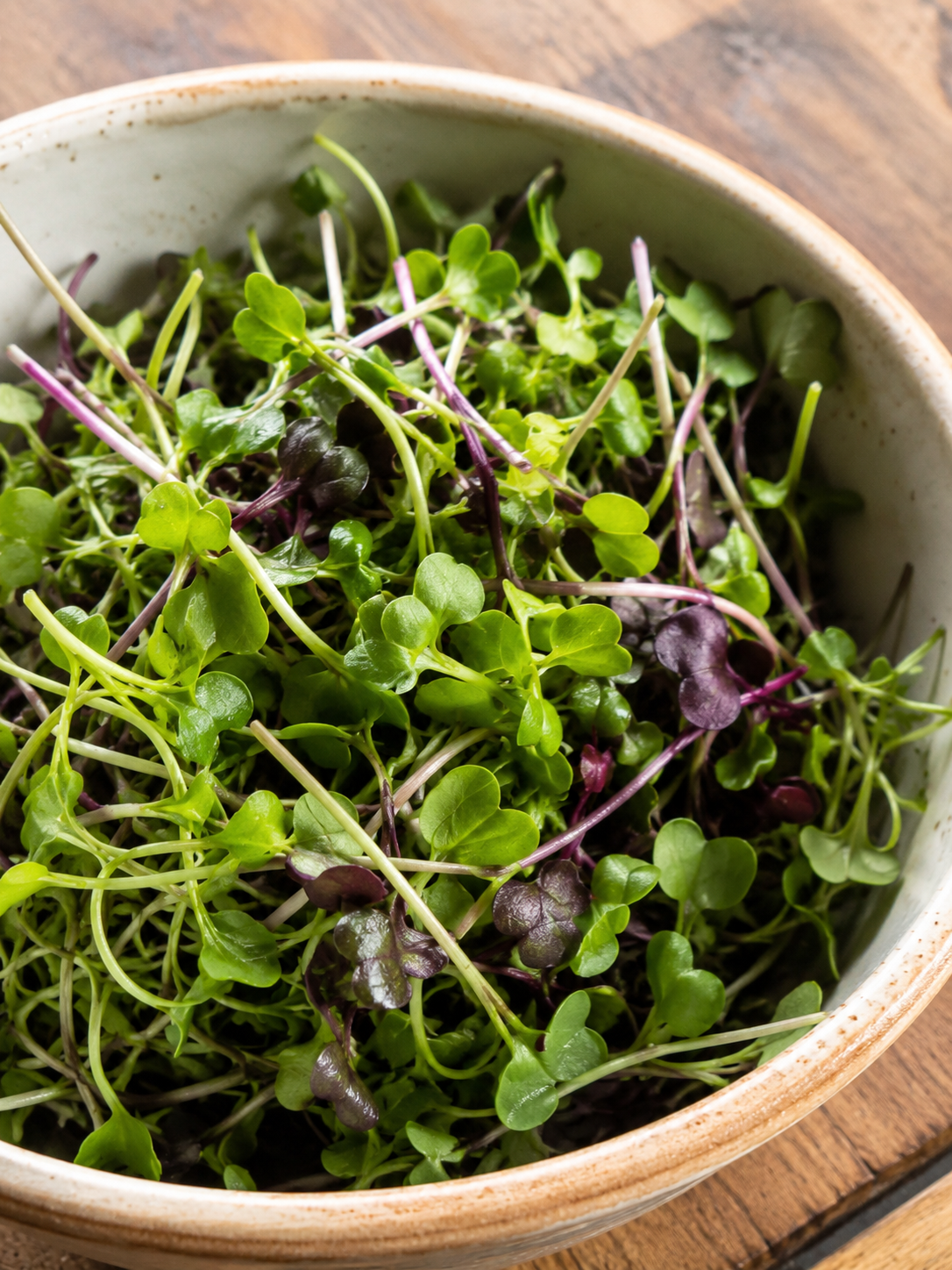 Fresh microgreens ready for finishing chef-prepared dishes