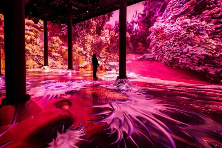 Artech House NY Blooming Wonders