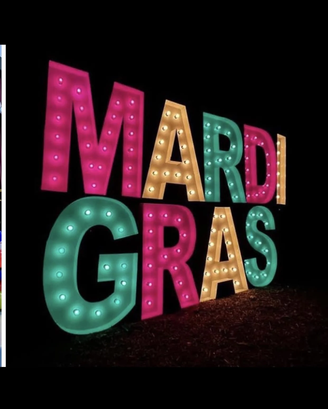 mardi g.jpg