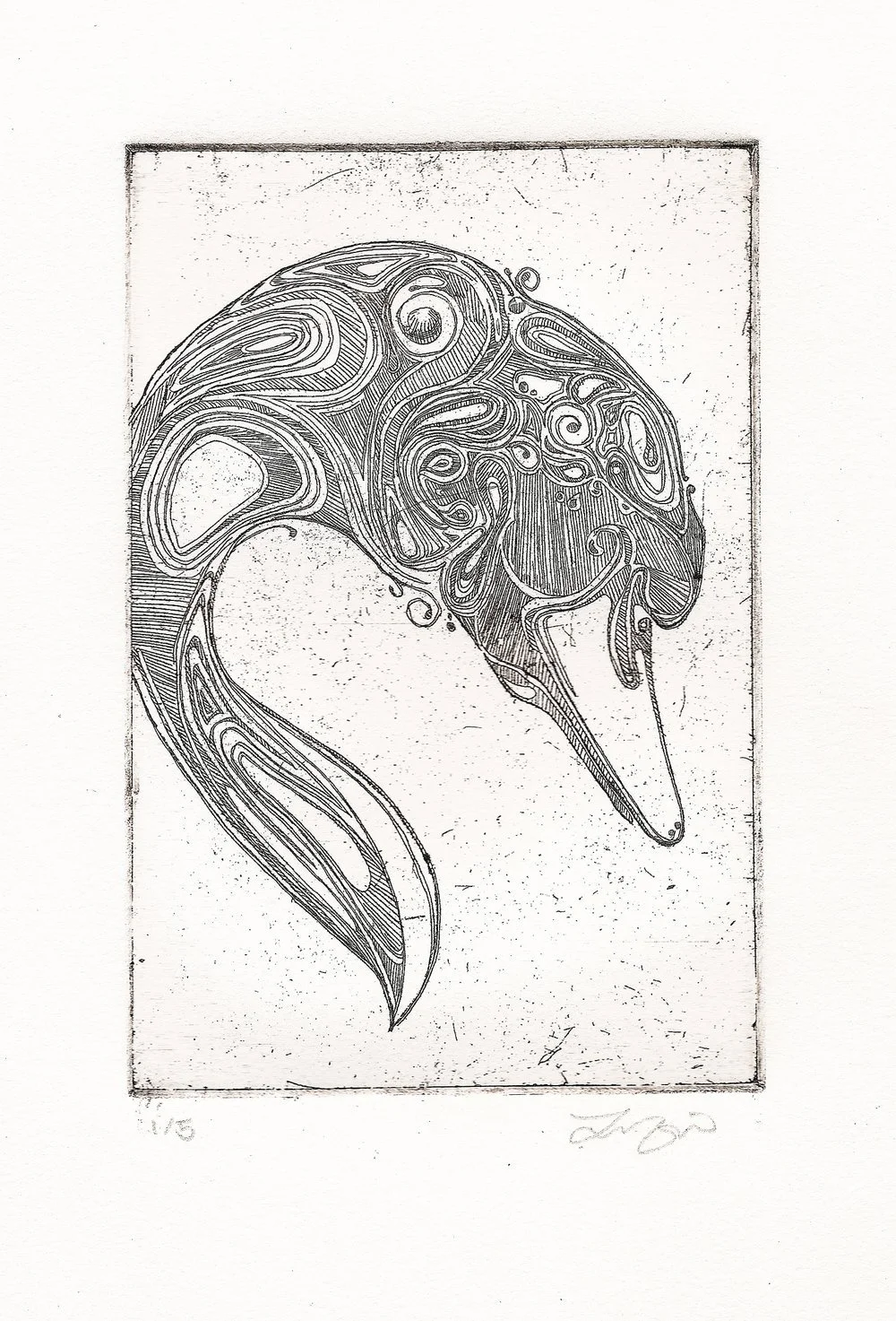 A detailed, abstract black and white illustration of a bird's profile, with intricate swirling patterns.