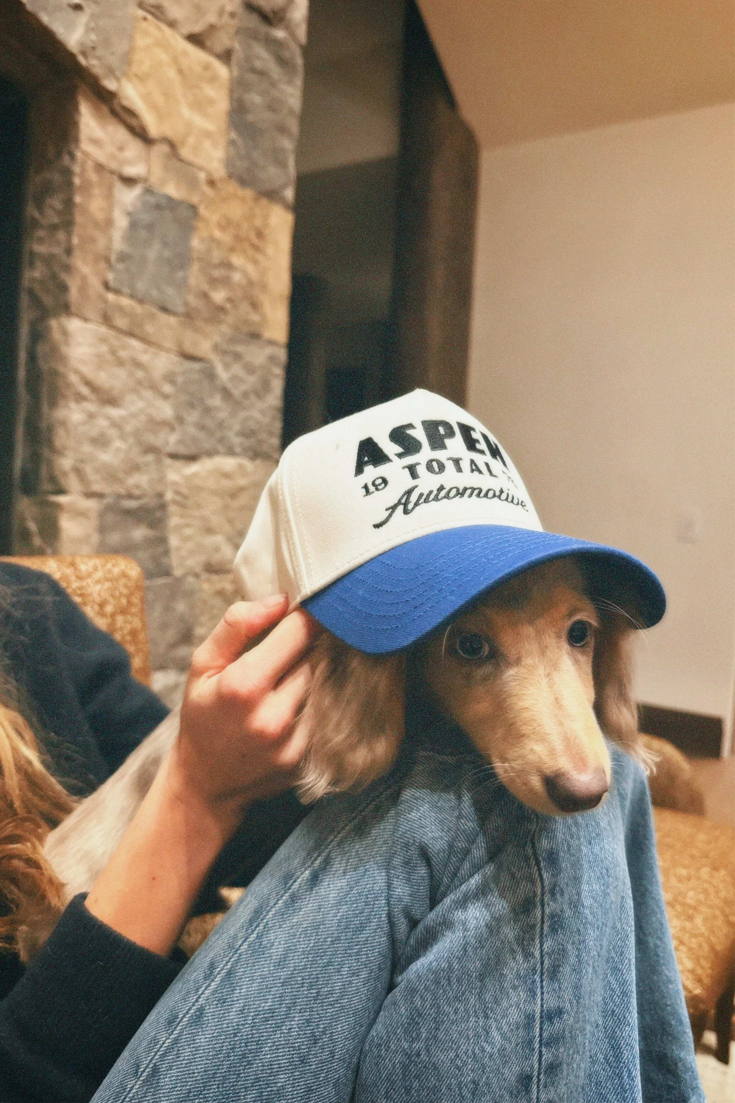 cpm35 2026-02-18 18140766A93B52565E.jpeg