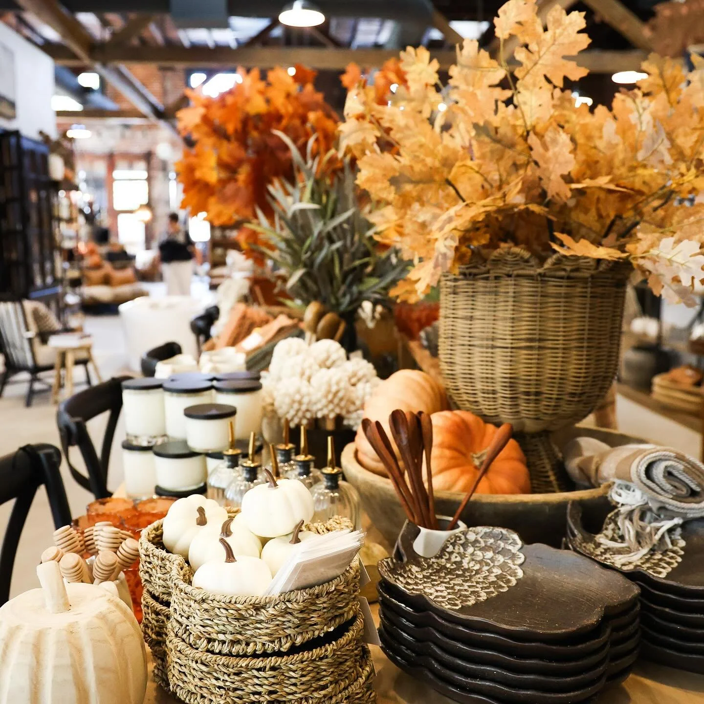 Fall has officially arrived at Nash &amp; Nichol! We had such a great time welcoming in the season with everyone last night, and now the doors are open to all of you! 🍂

Stop in for all of the fall inspiration and decorations and make sure to grab o
