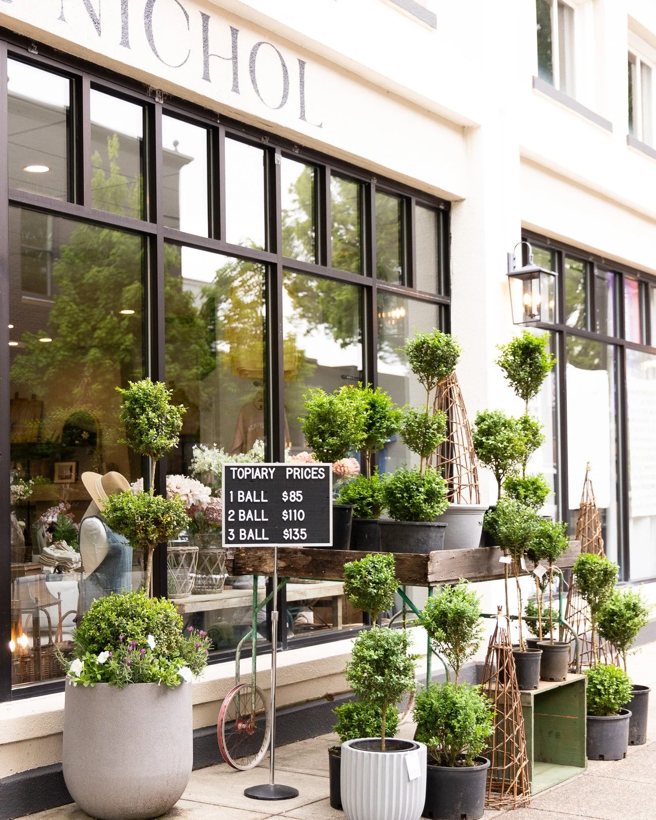 The topiaries are here! This is the week to come by the store and pick-up (if you pre-ordered) or pick out your fresh boxwood topiaries! We have loved providing these for you the last few years and each year more and more people get excited to find t