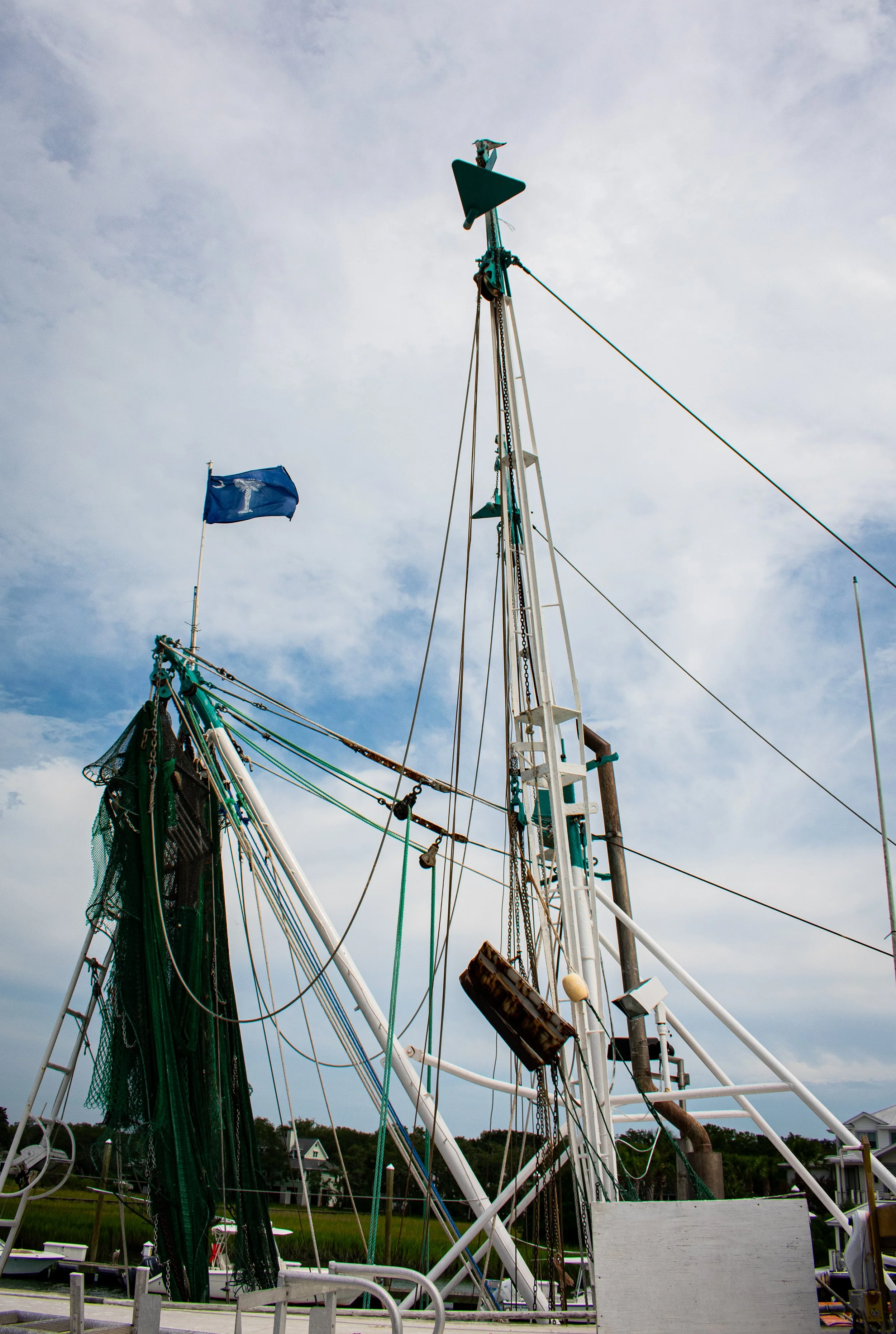 DSC_0349.jpg