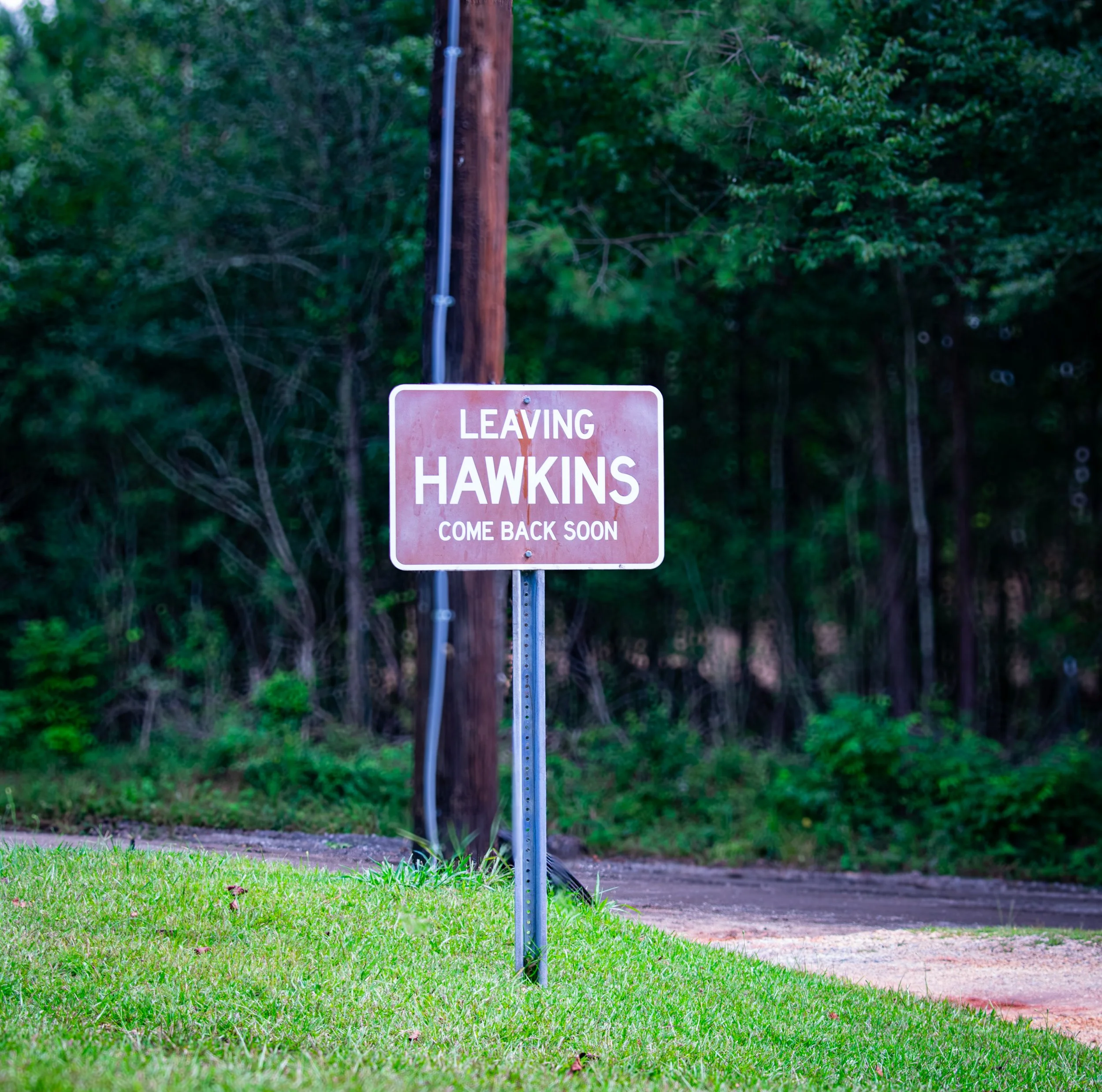 DSC_0031.jpg