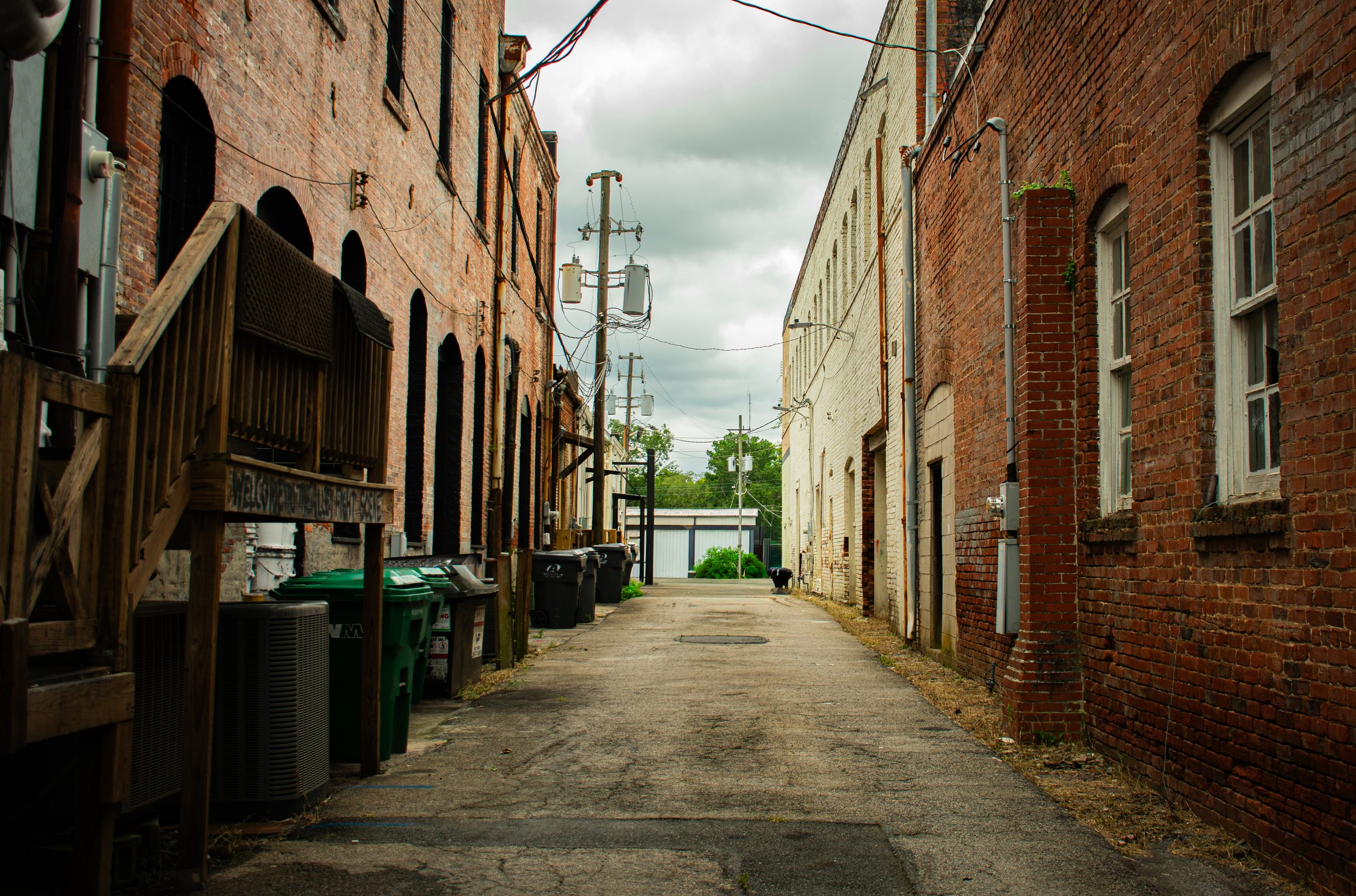 DSC_0095.jpg