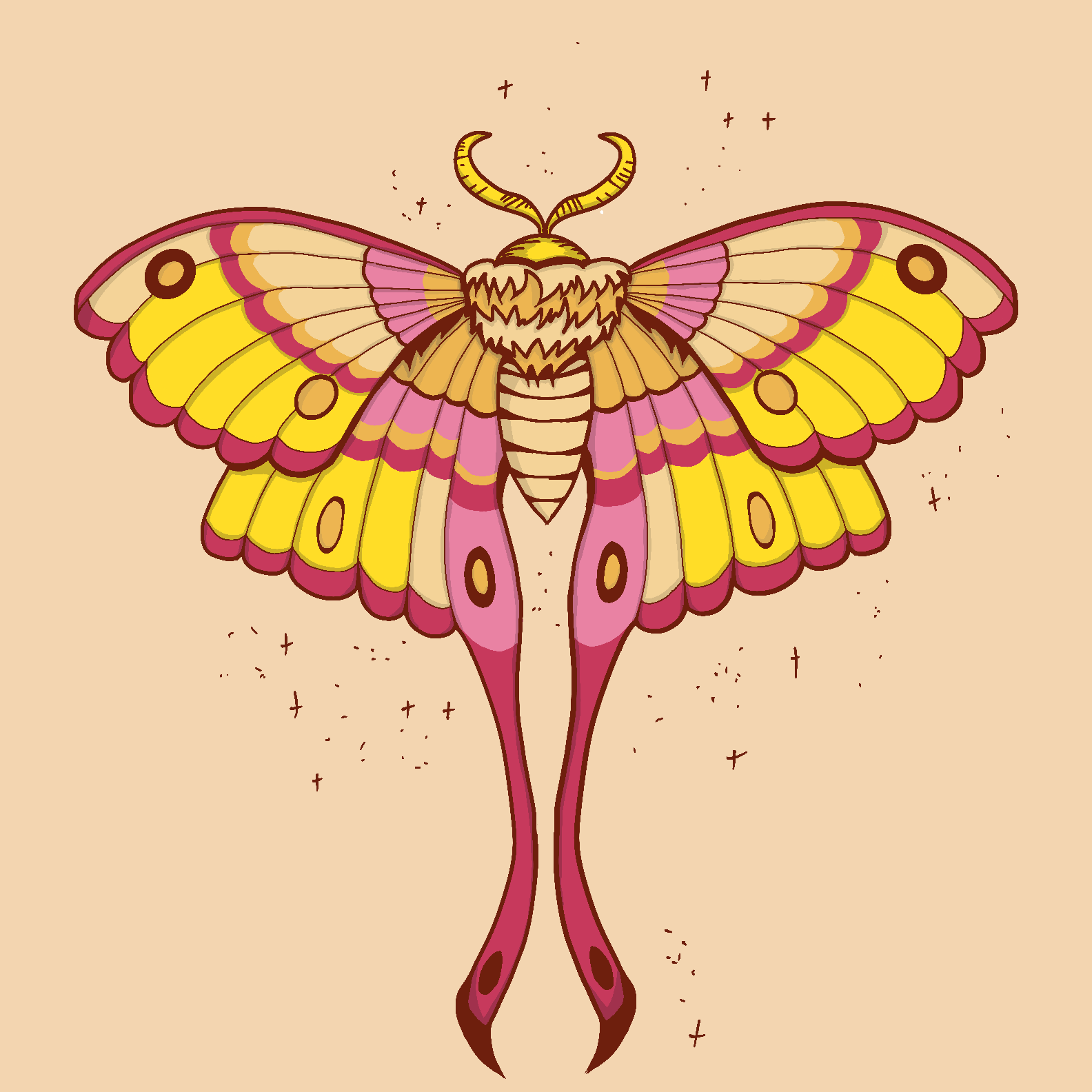IMG_0453.PNG