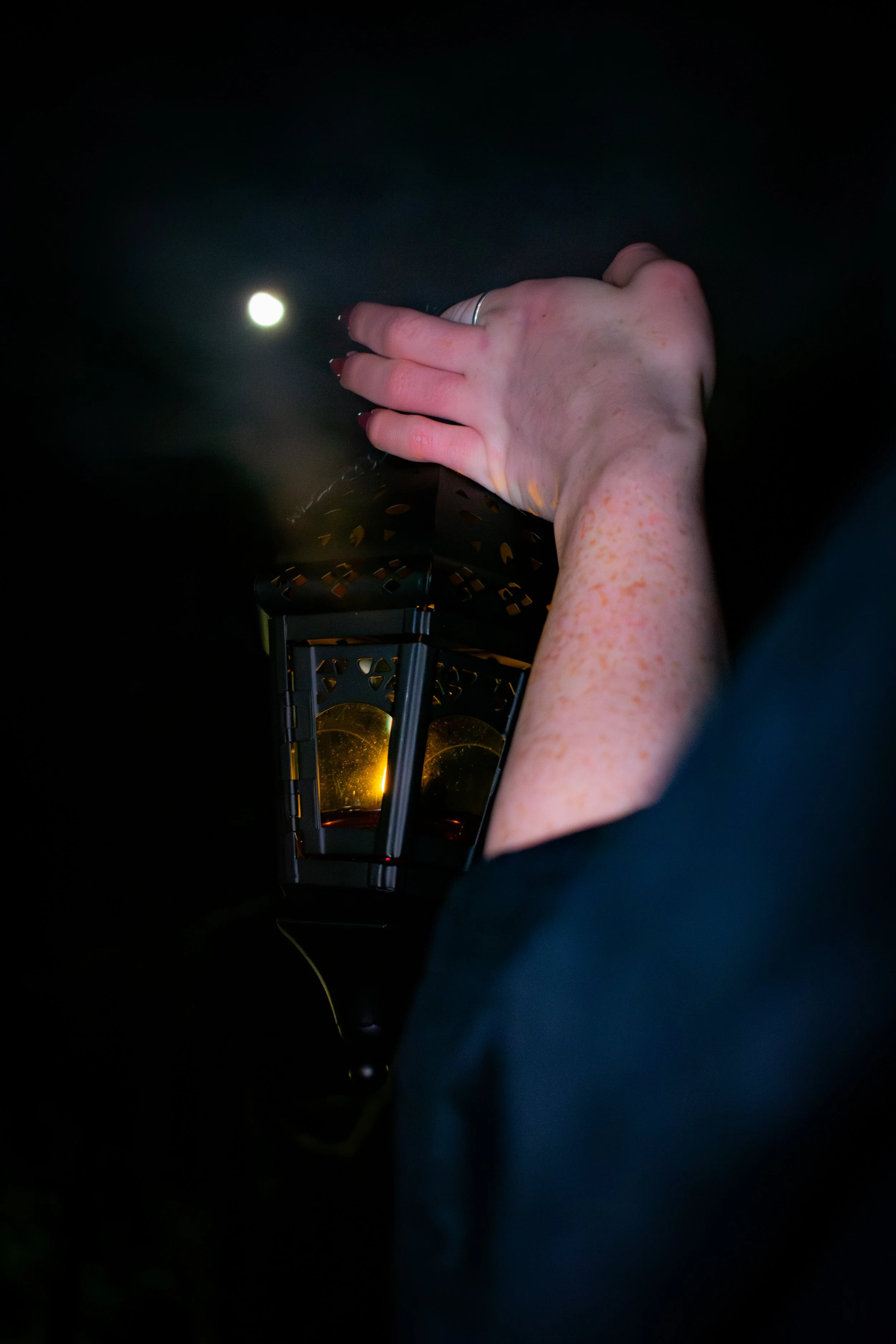 DSC_0207.jpg