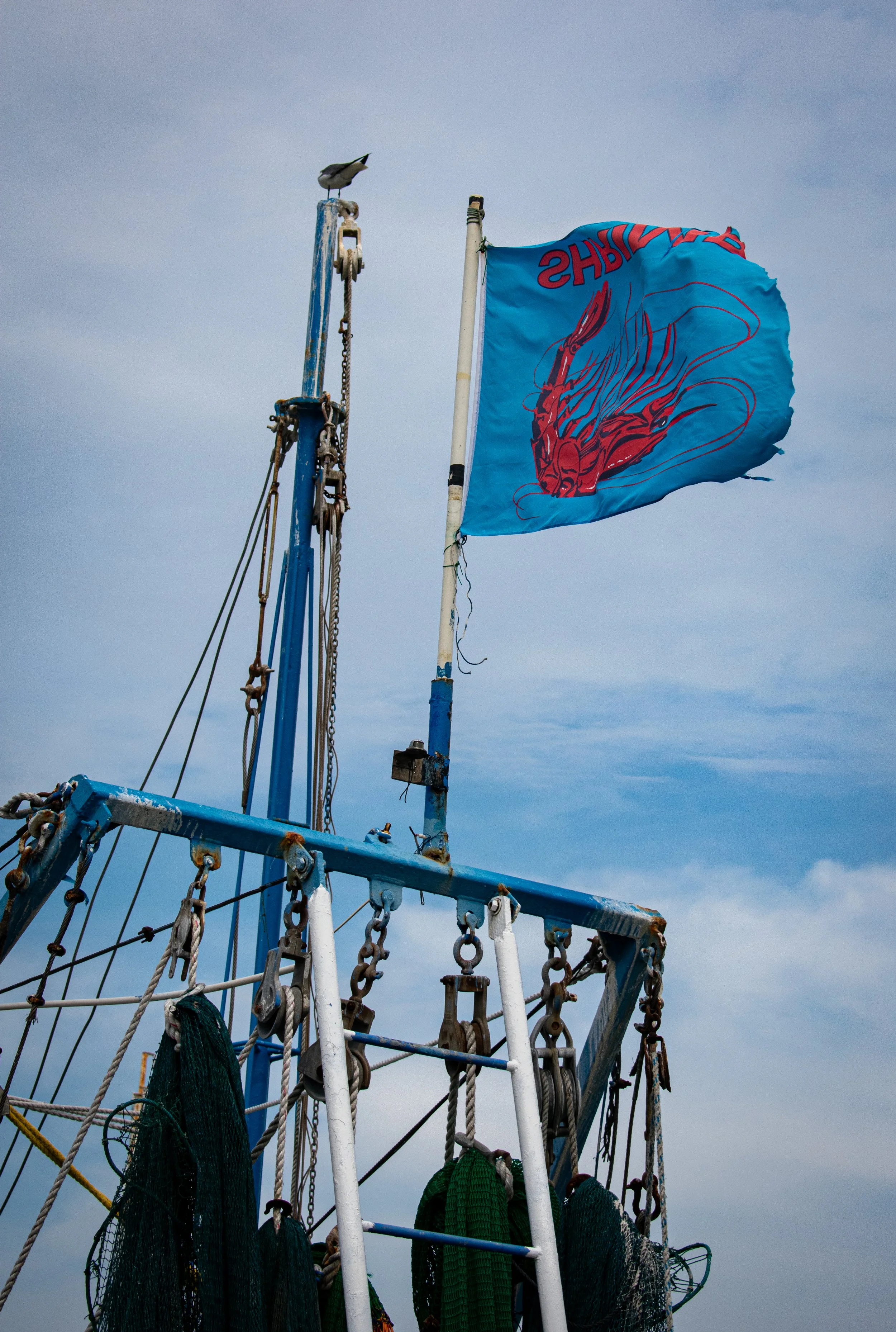 DSC_0352.jpg
