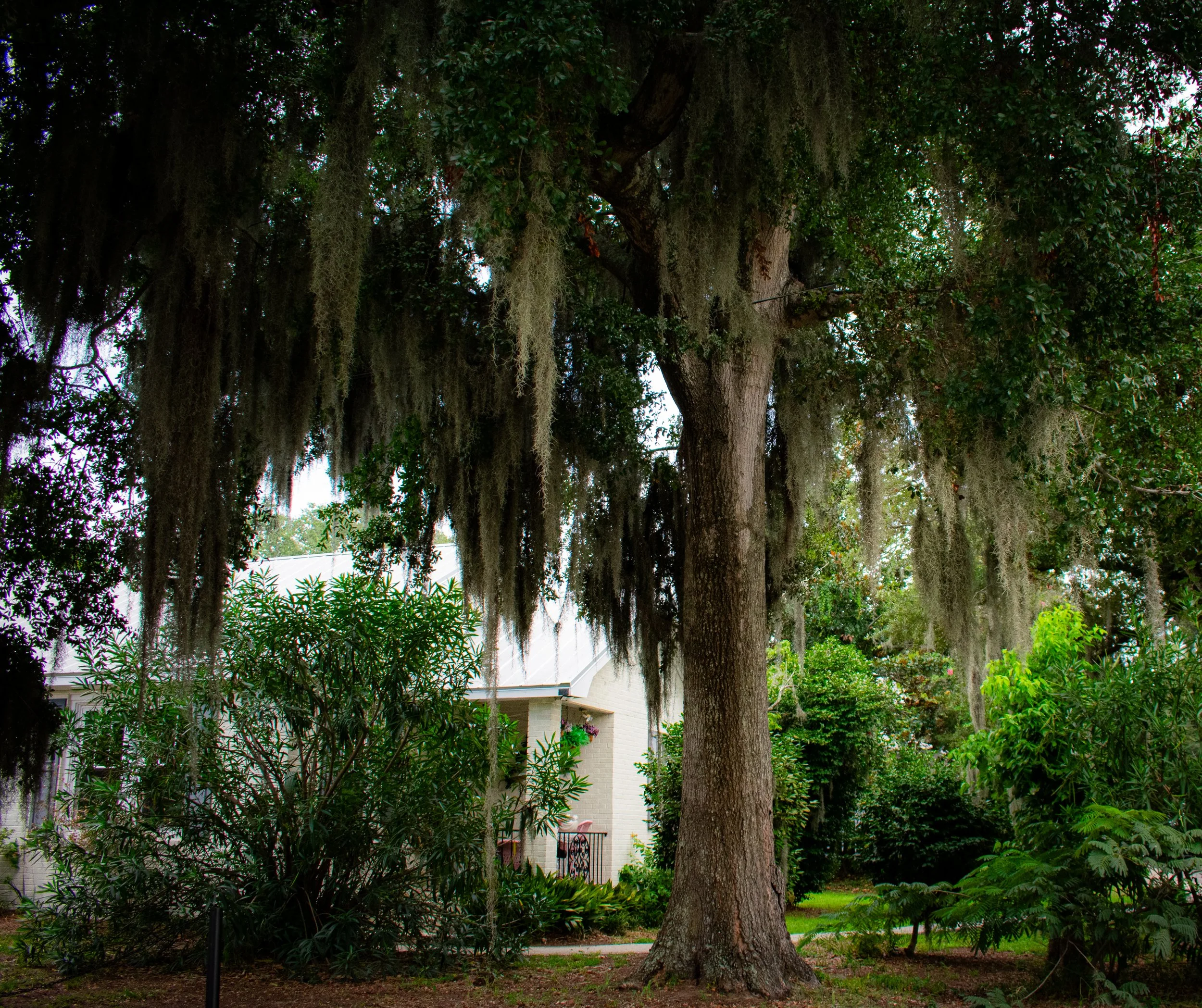 DSC_0399.jpg