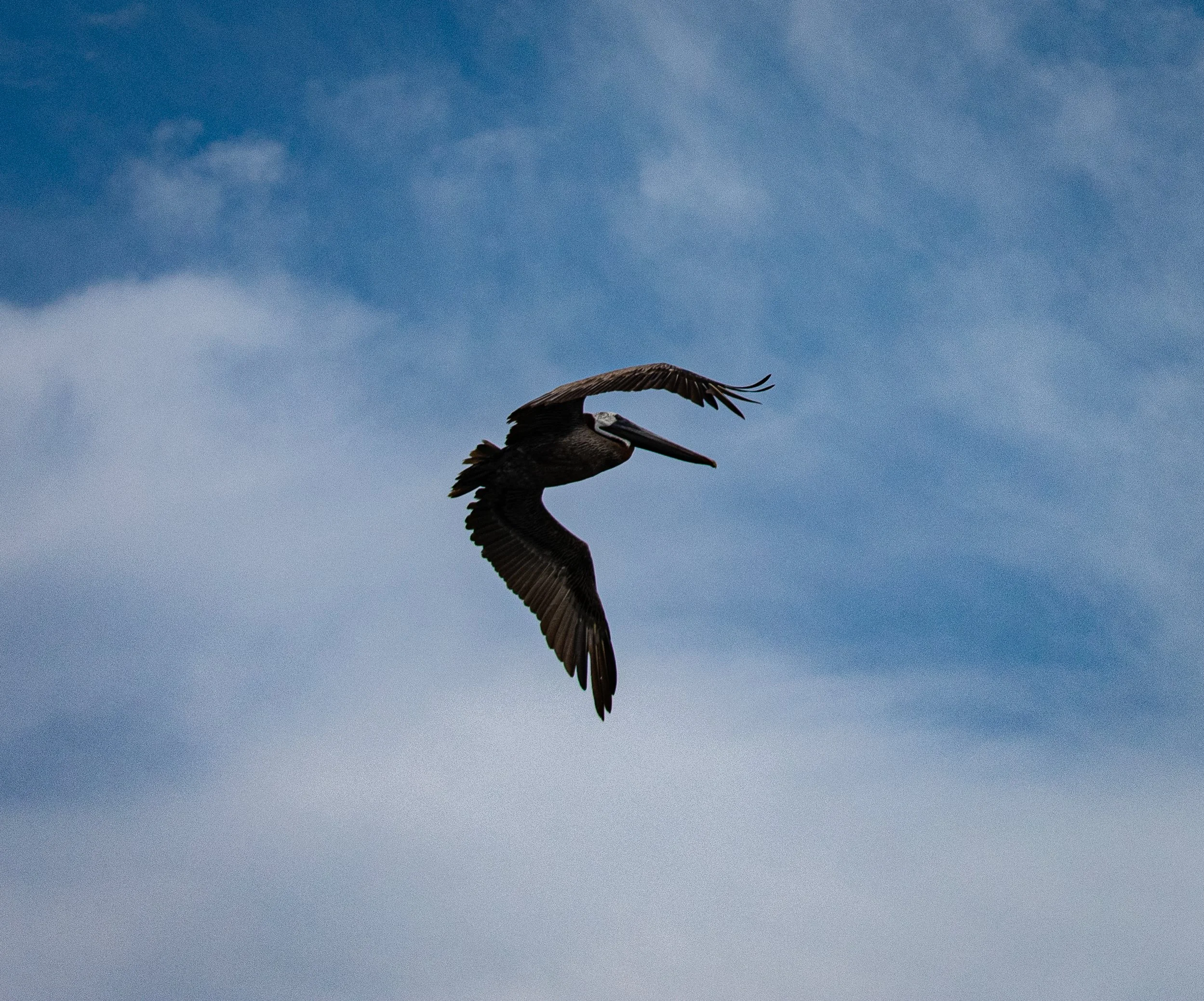 DSC_0357.jpg