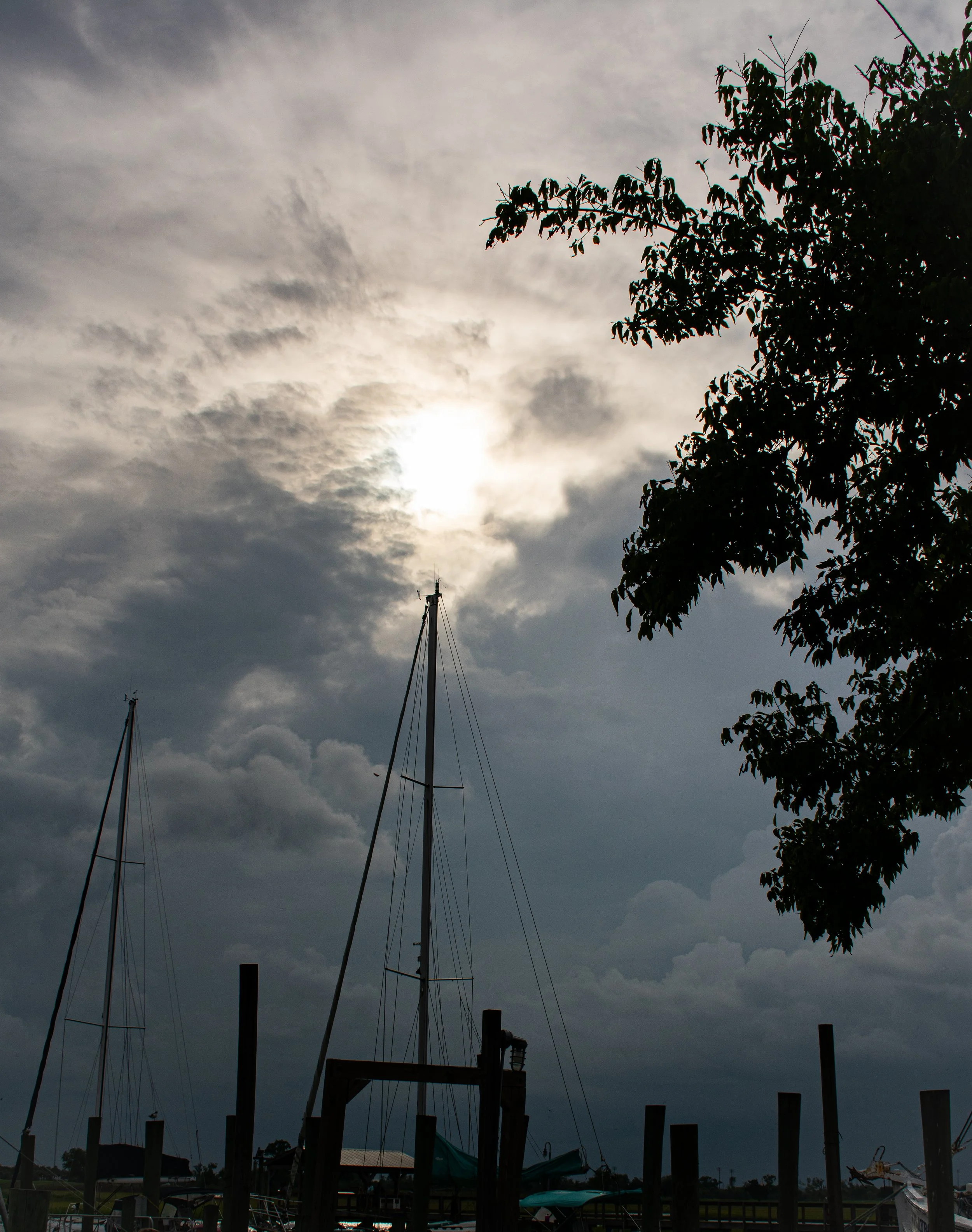 DSC_0429.jpg