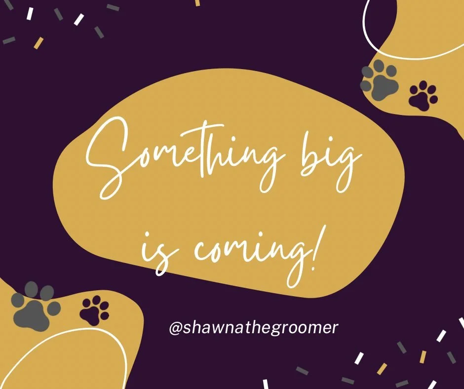As many of you already know, I am presently offering pet grooming services in the comfort of your own home. 🏠 
I am eager to share some thrilling news later this week. If you are interested in having your pet groomed in the convenience of your own h
