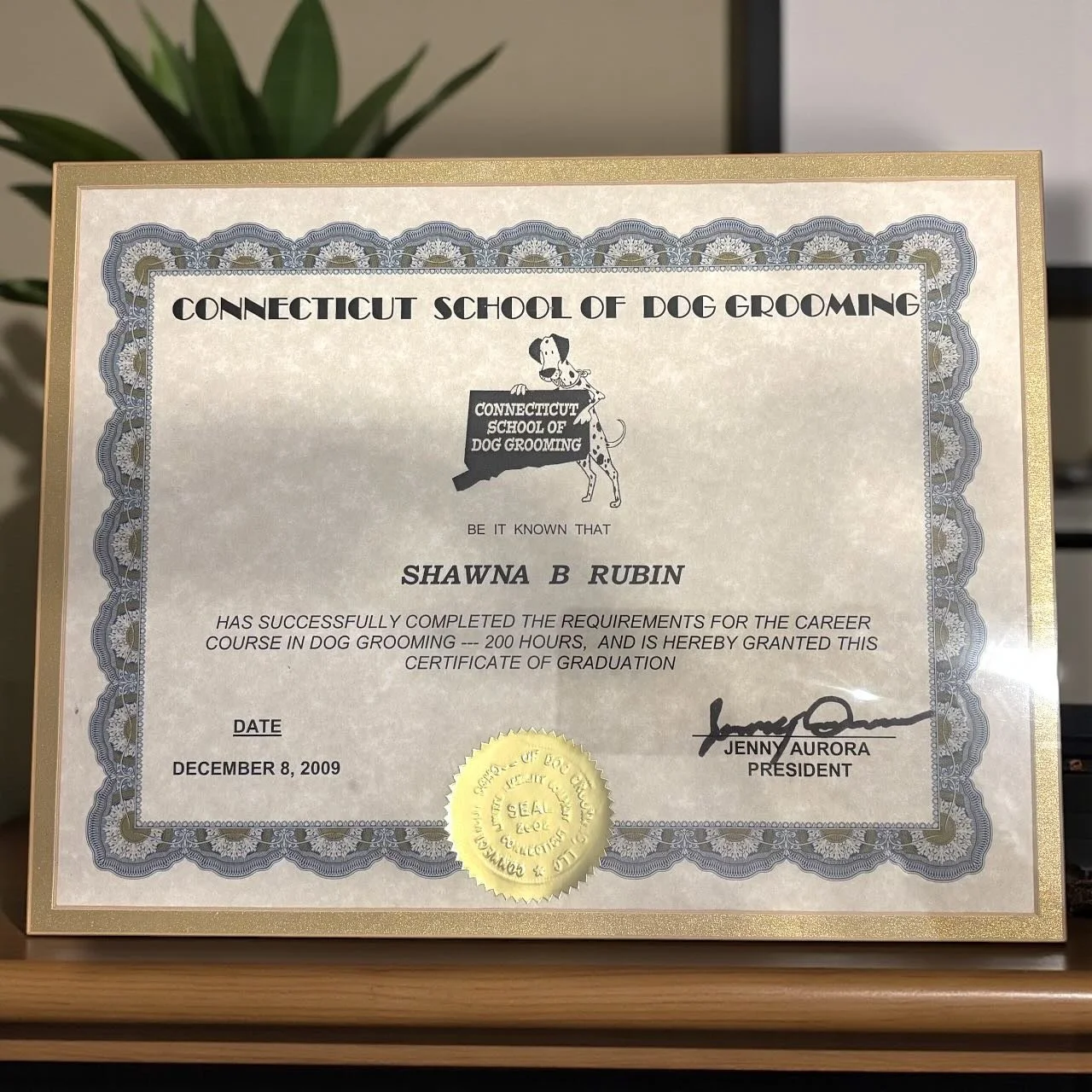 I became a professional pet stylist 16 years ago, and I&rsquo;ve loved every minute of helping pets look and feel their best! 💕

Choosing a certified, trained groomer means your pet is in safe, knowledgeable hands &mdash; someone who understands bre