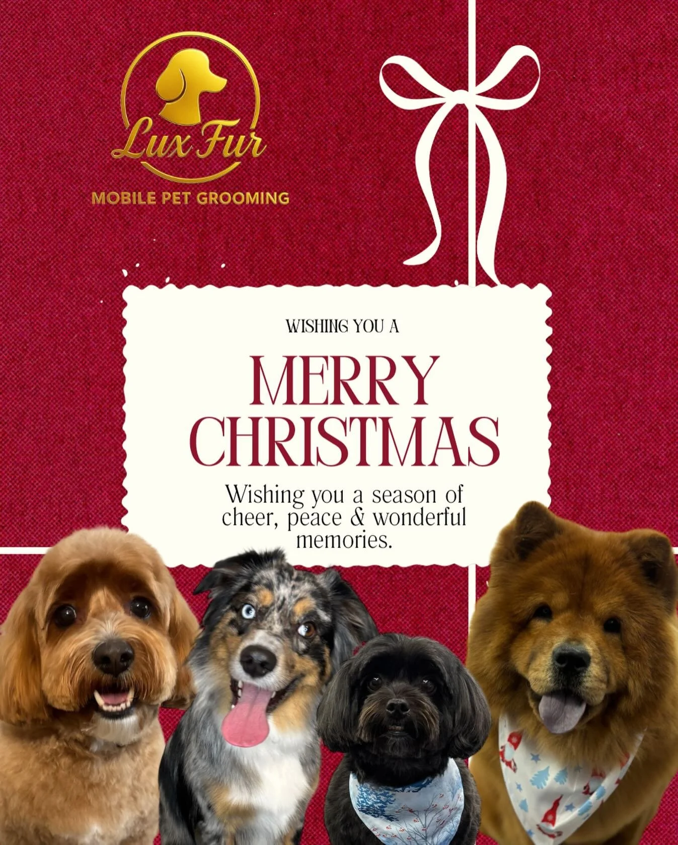 Thank you from the bottom of my heart to all of my amazing clients and your precious fur babies for such an incredible start to Lux Fur Mobile Pet Grooming. The love, trust, and support you&rsquo;ve shown means everything to me, and I truly couldn&rs