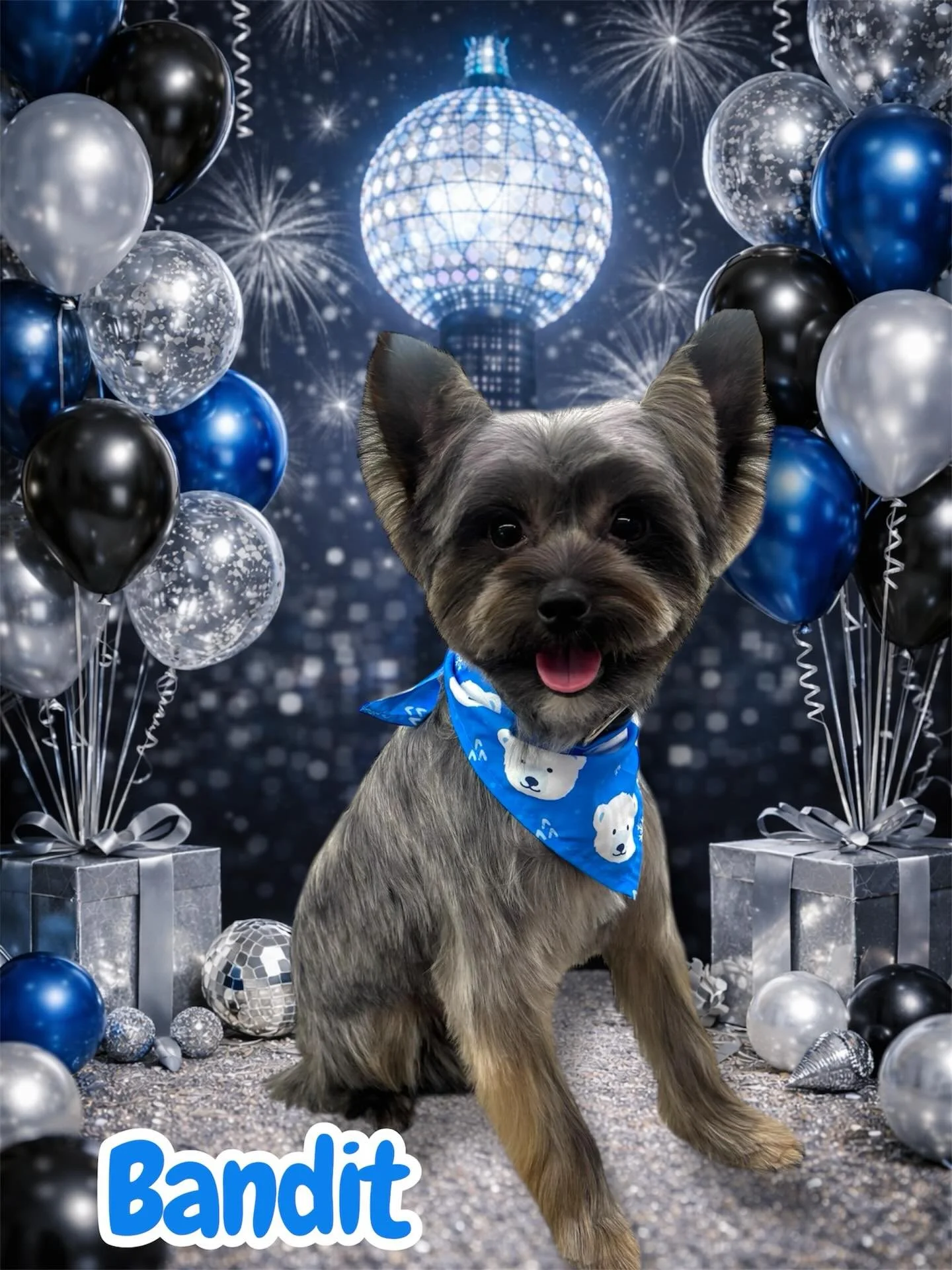 Counting down to the New Year with these cuties 🎉🐶 #doggrooming #newyear #lovemyjob✂️🐾