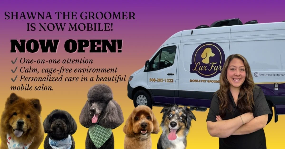 🐶✨ Now Open! ✨🐶

Looking for a new groomer&mdash;or ready to upgrade your dog&rsquo;s grooming experience?

🚐 Lux Fur Mobile Pet Grooming brings a luxury, calm, one-on-one spa experience right to your driveway.
No cages. No waiting. Just personali