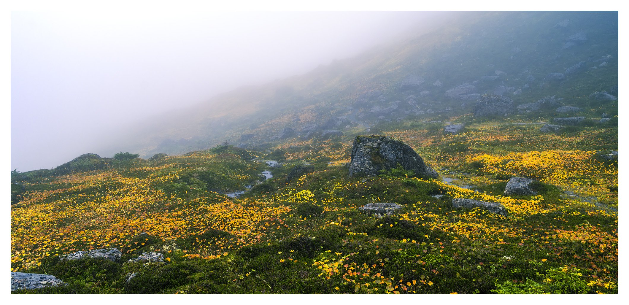 weathertop_web_45x21.jpg