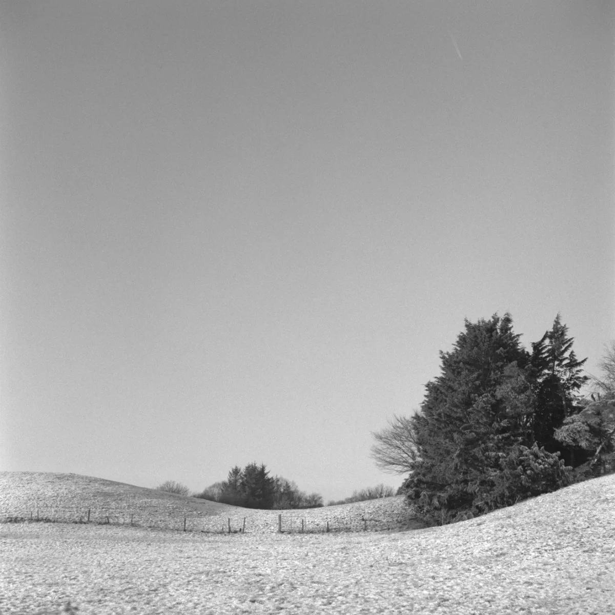 001_01.jpg
