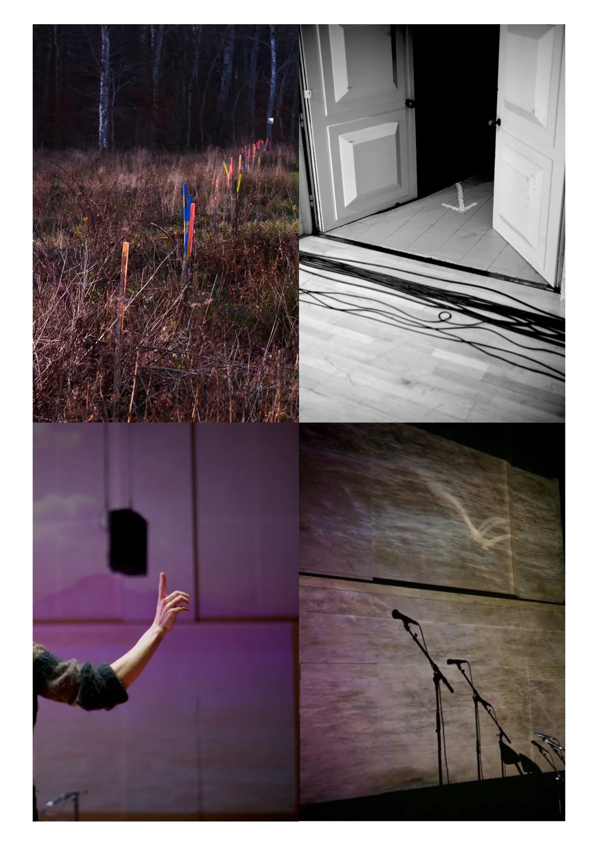 QUADRI ANTIGONICK.1.jpeg