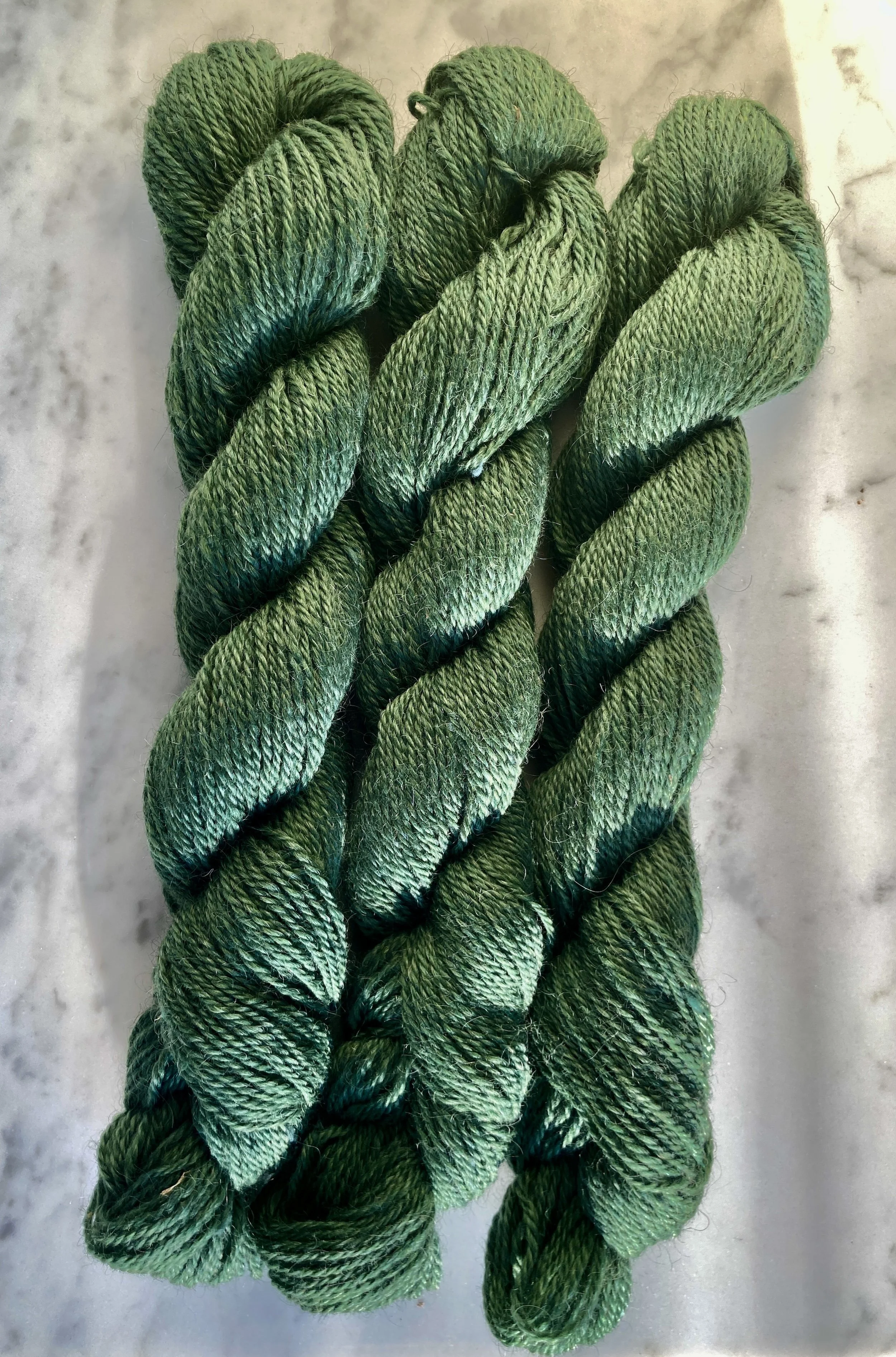 Forest Green.jpg