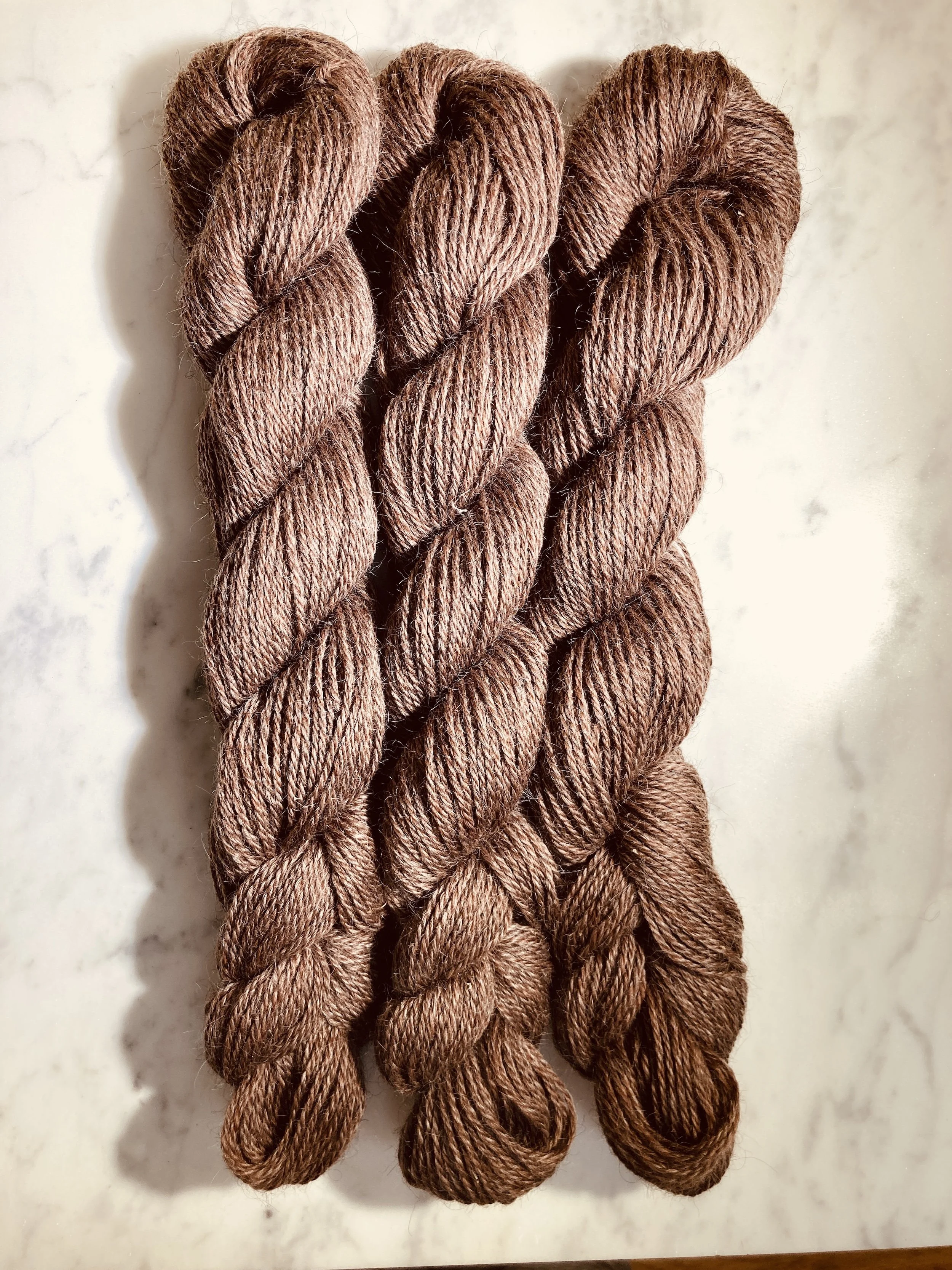 V1Chocolate.truffle.jpg
